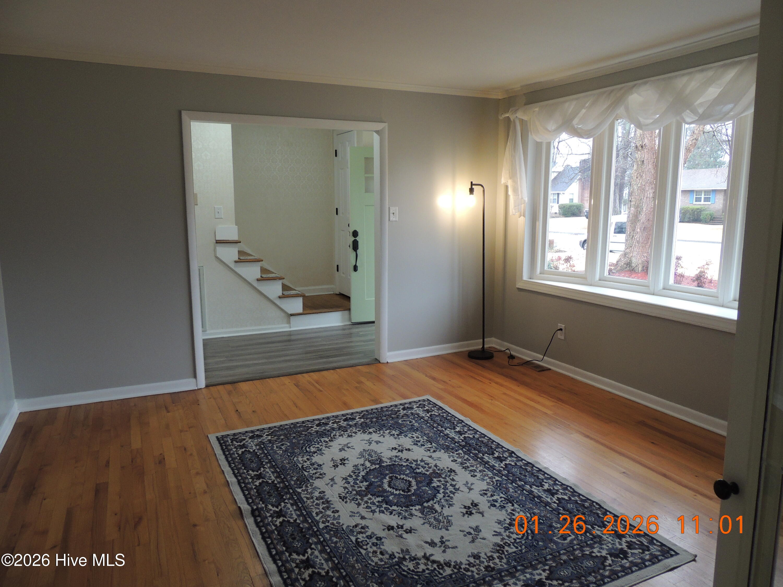 100551473 | Photo 16