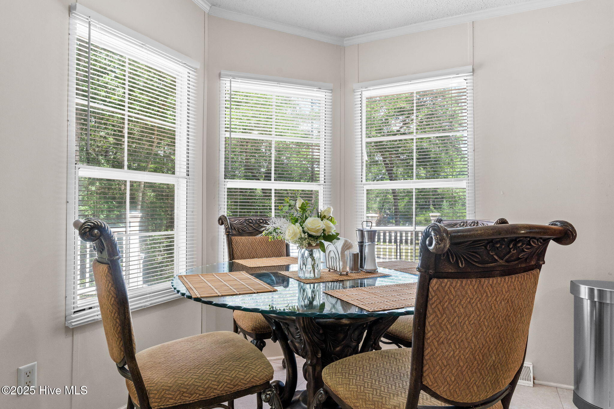 100515279 | Photo 26