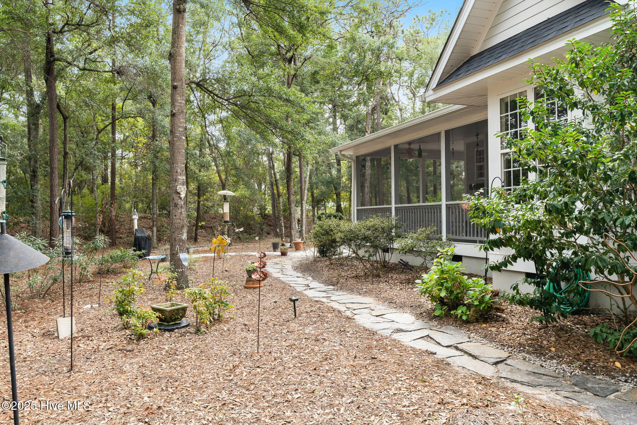 100535013 | Photo 47