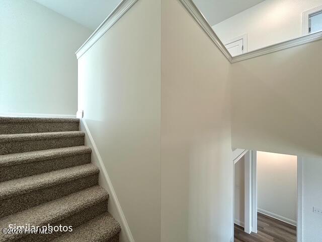 100535457 | Photo 44