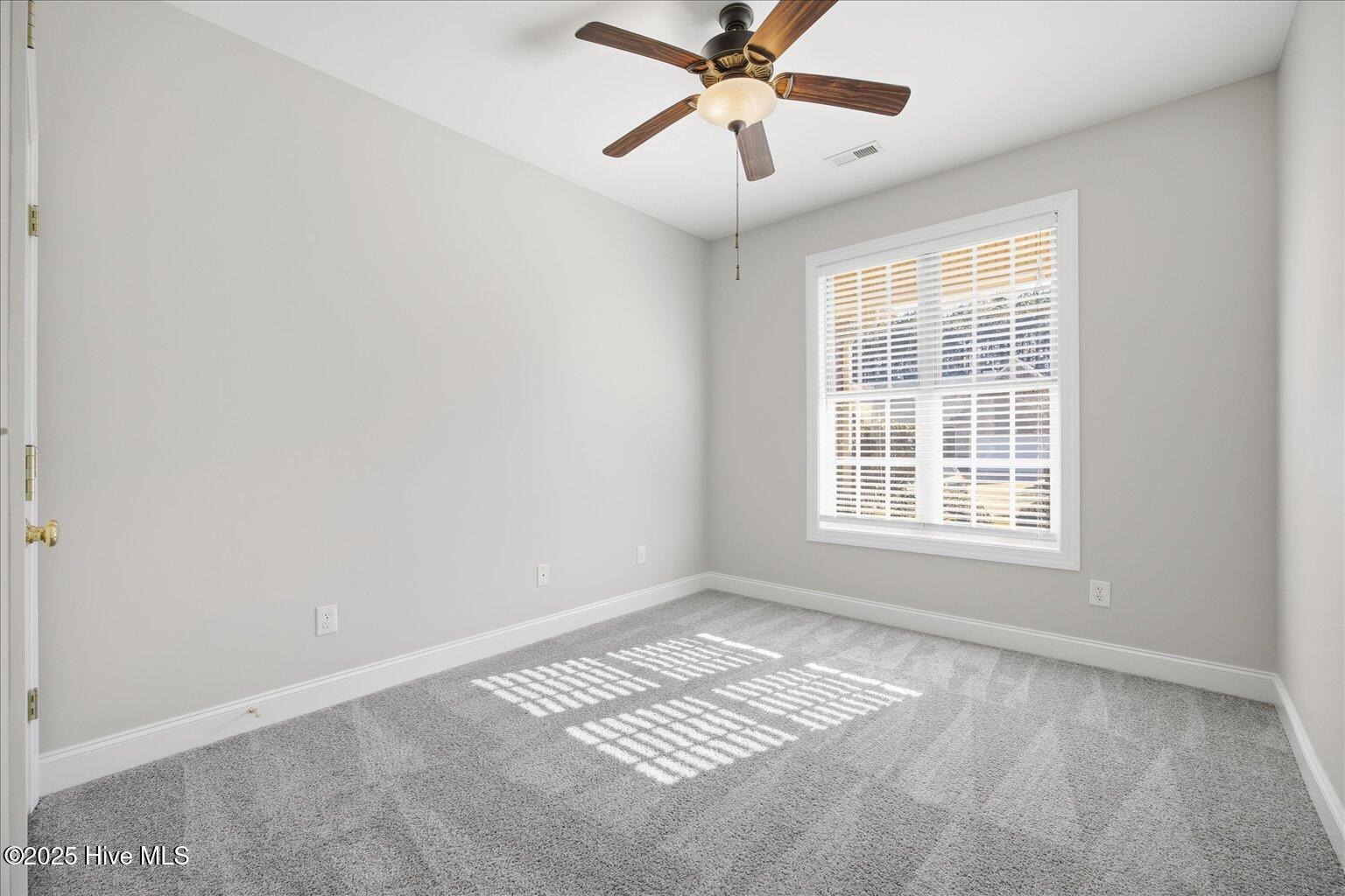 100543356 | Photo 10