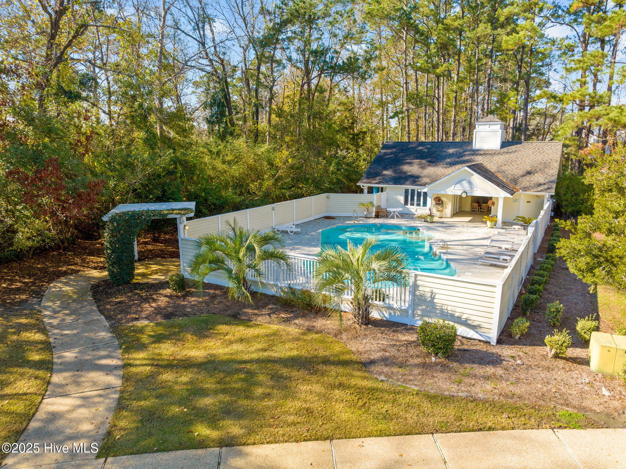 100546041 | Photo 43