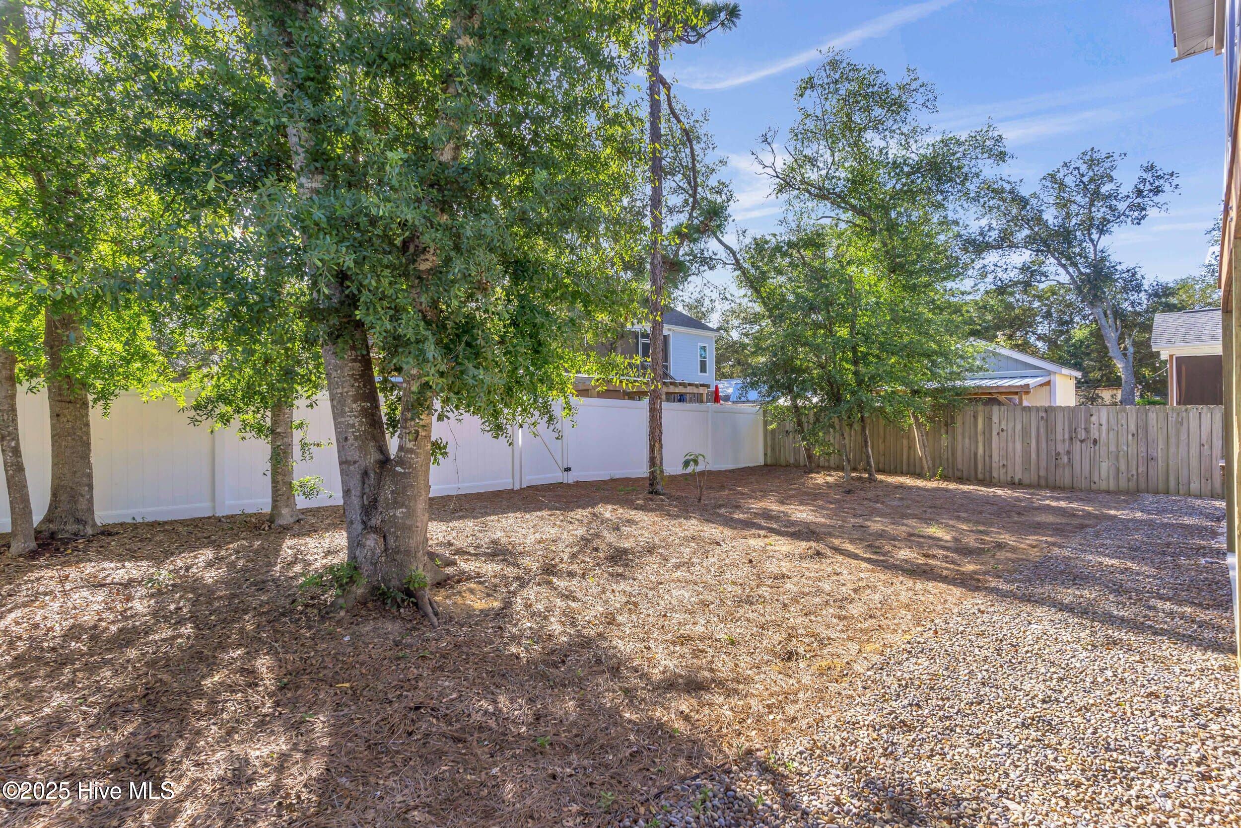 100534529 | Photo 43