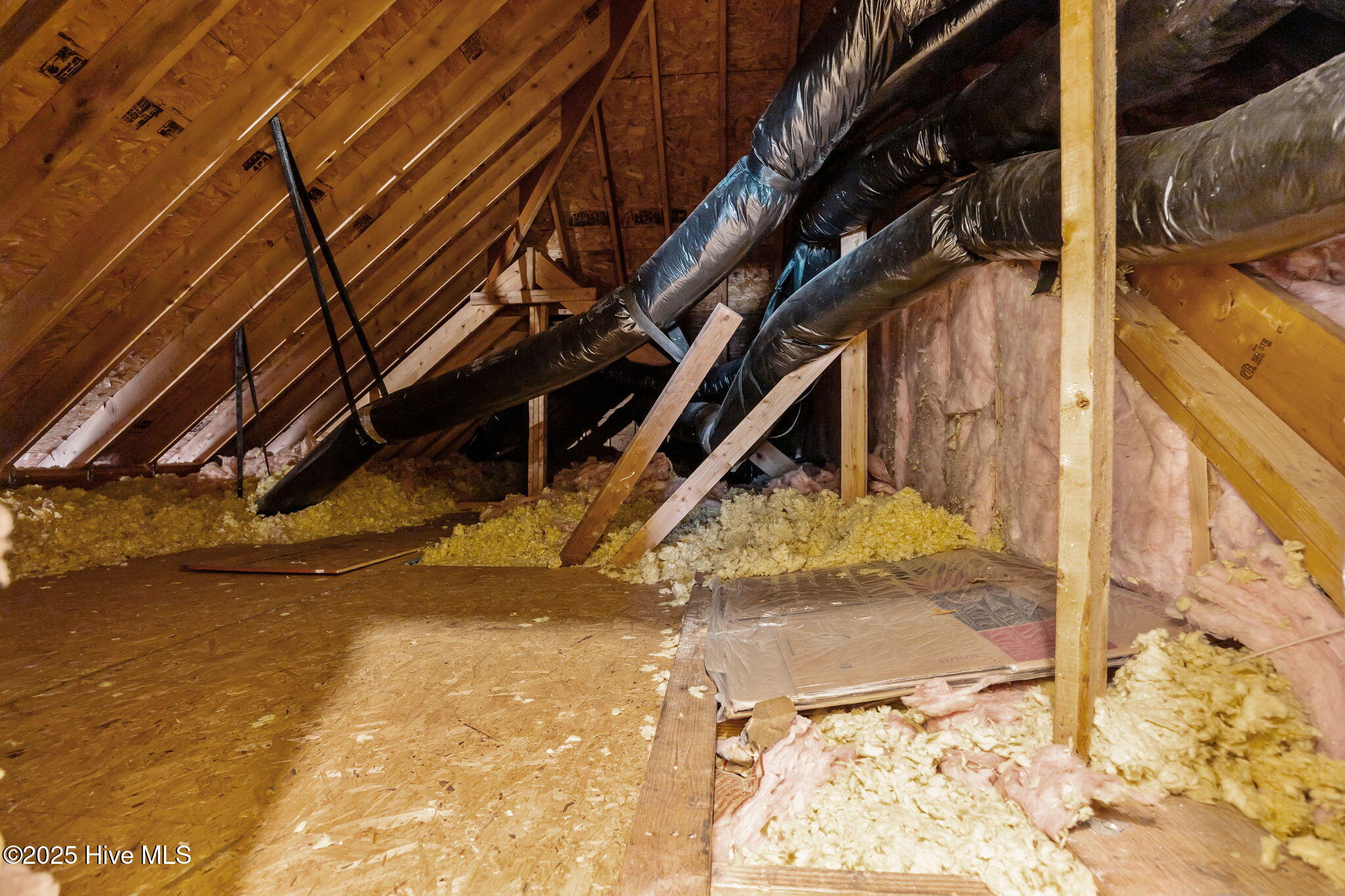 100515832 | Photo 57