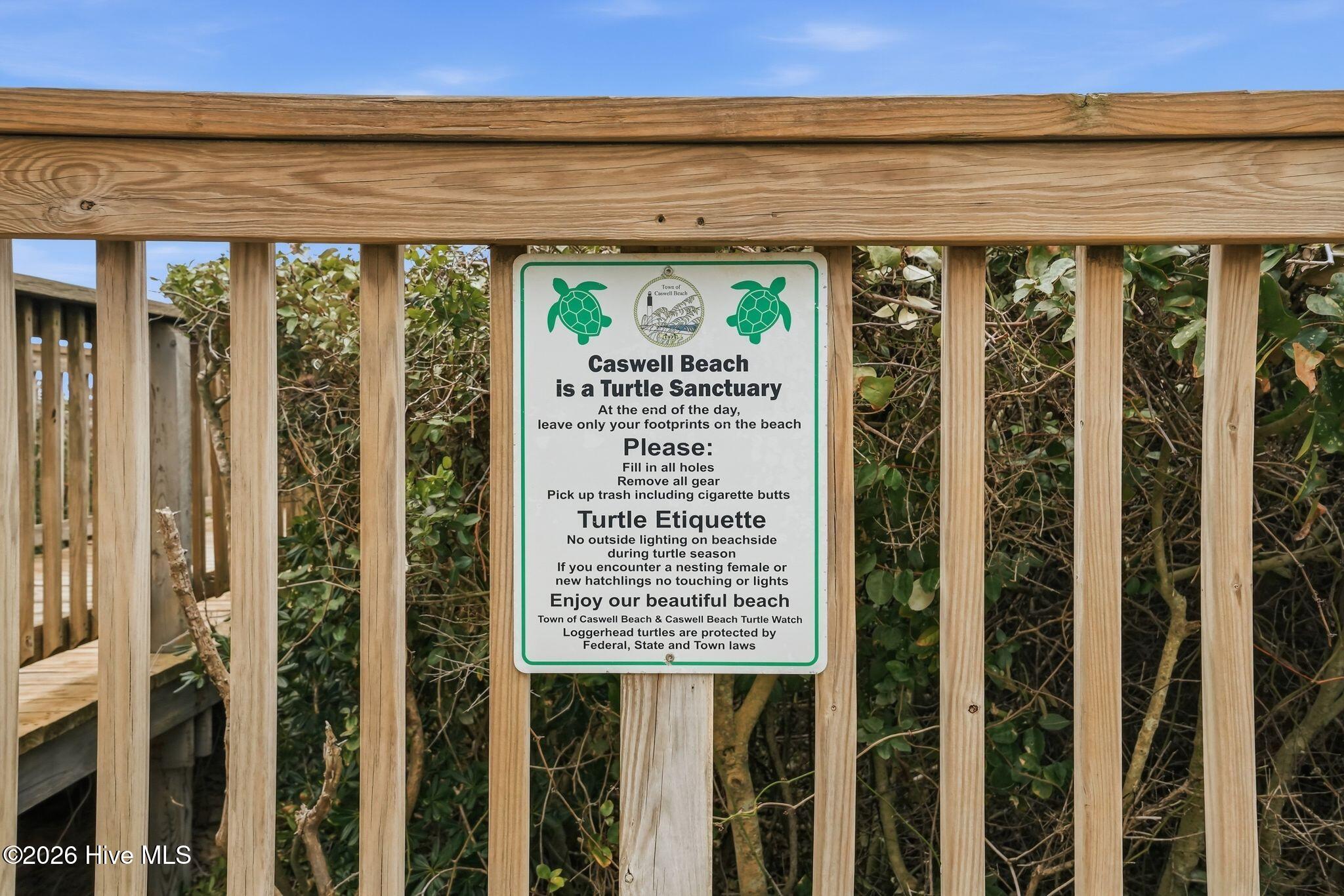 100557699 | Photo 48