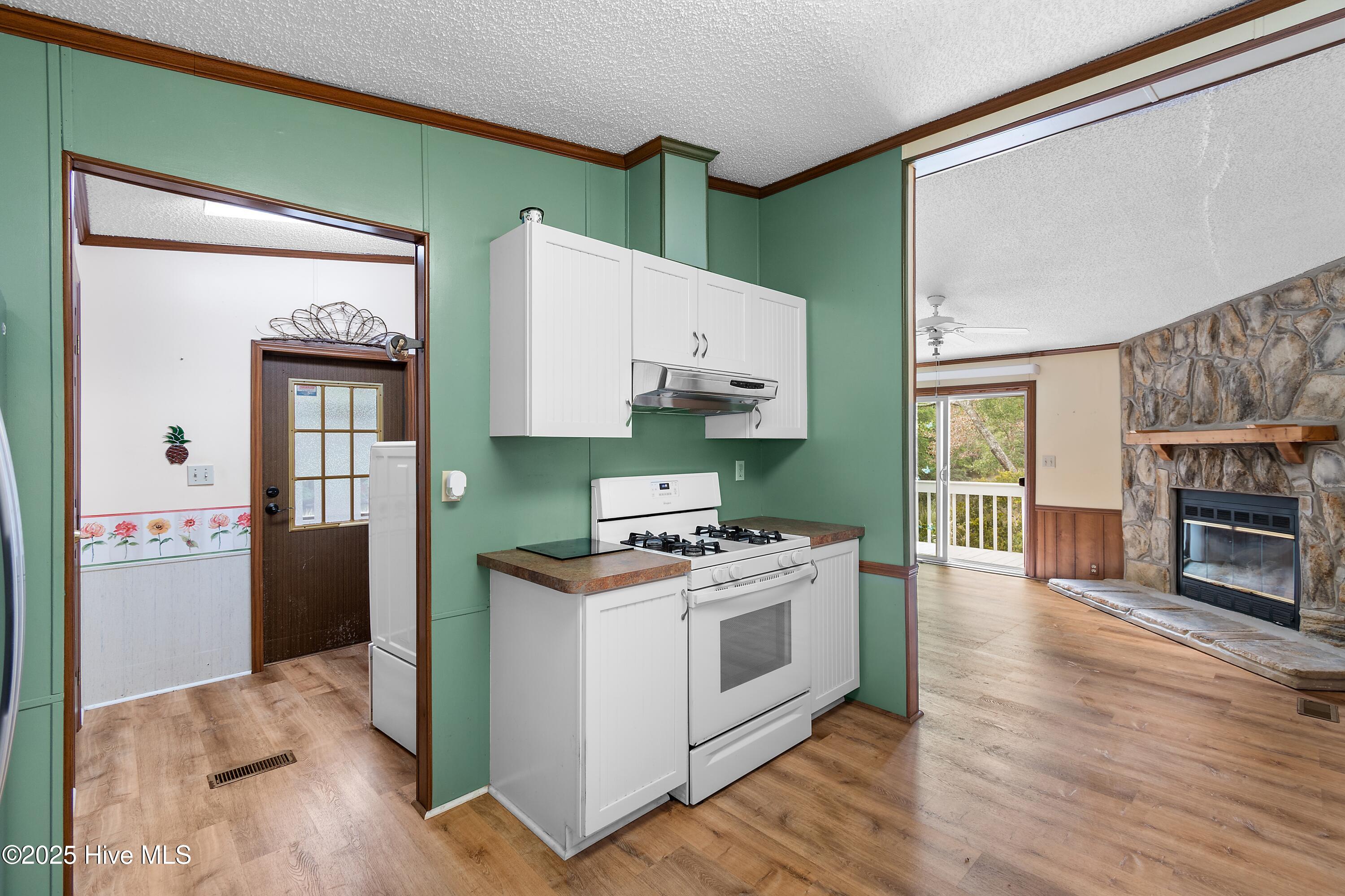 100538927 | Photo 17