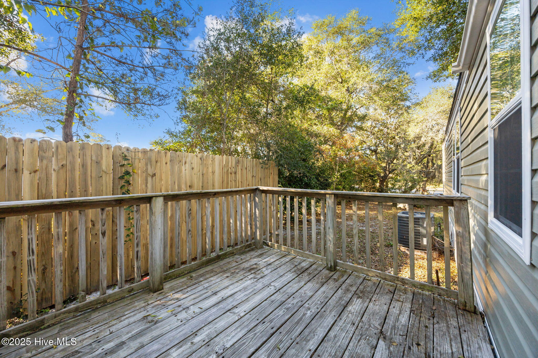 100541856 | Photo 29