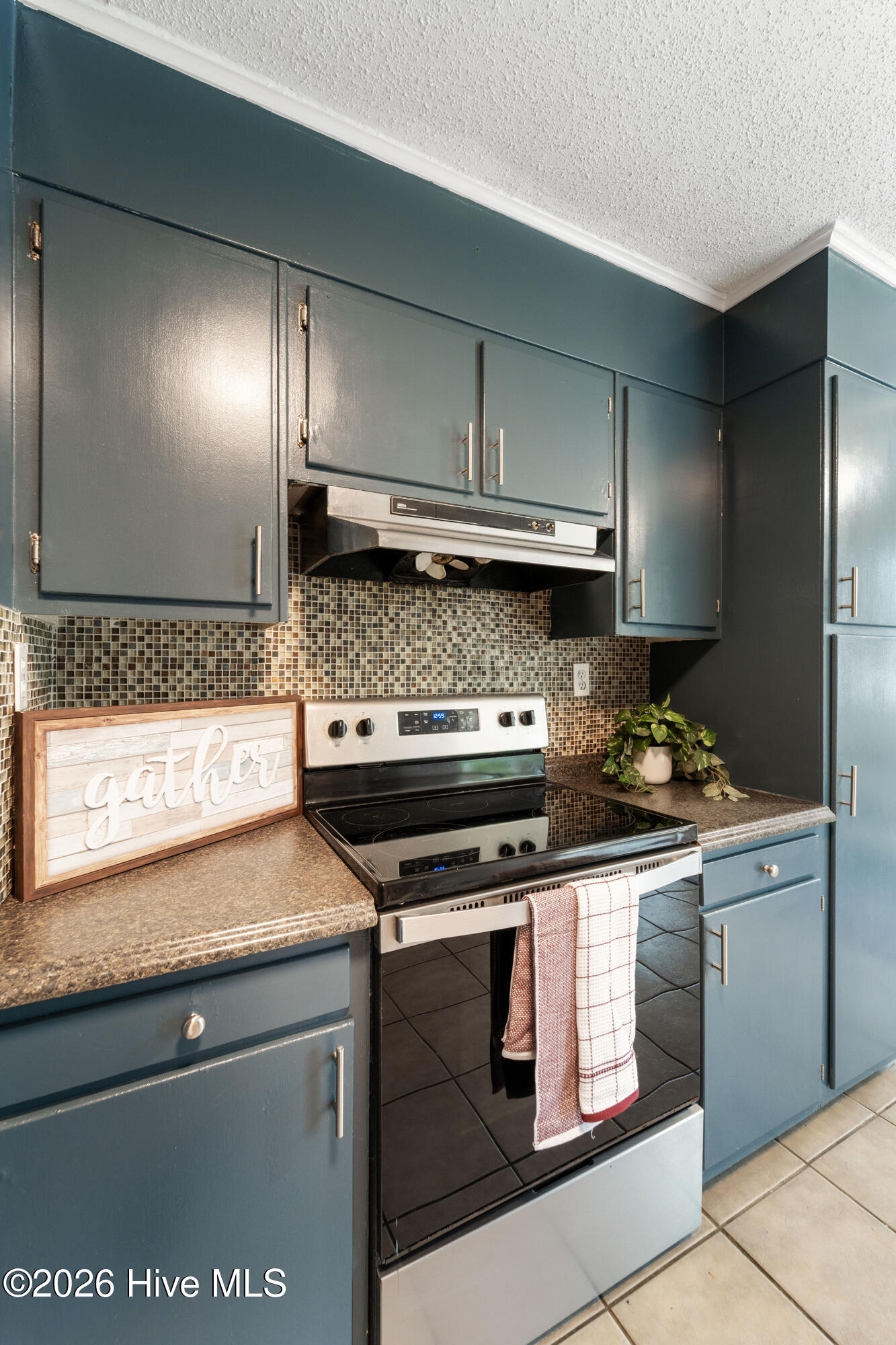 100551090 | Photo 25