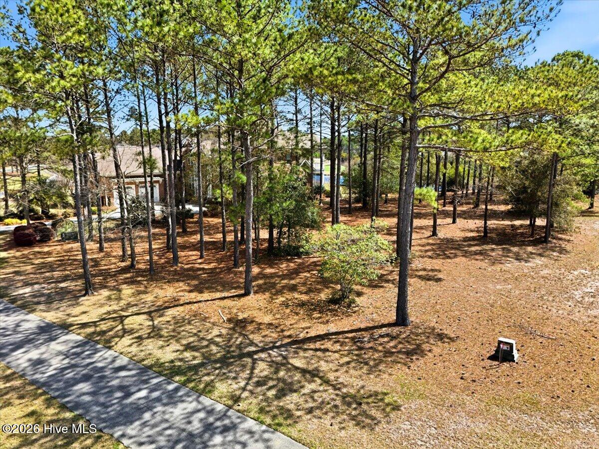 100563652 | Photo 11