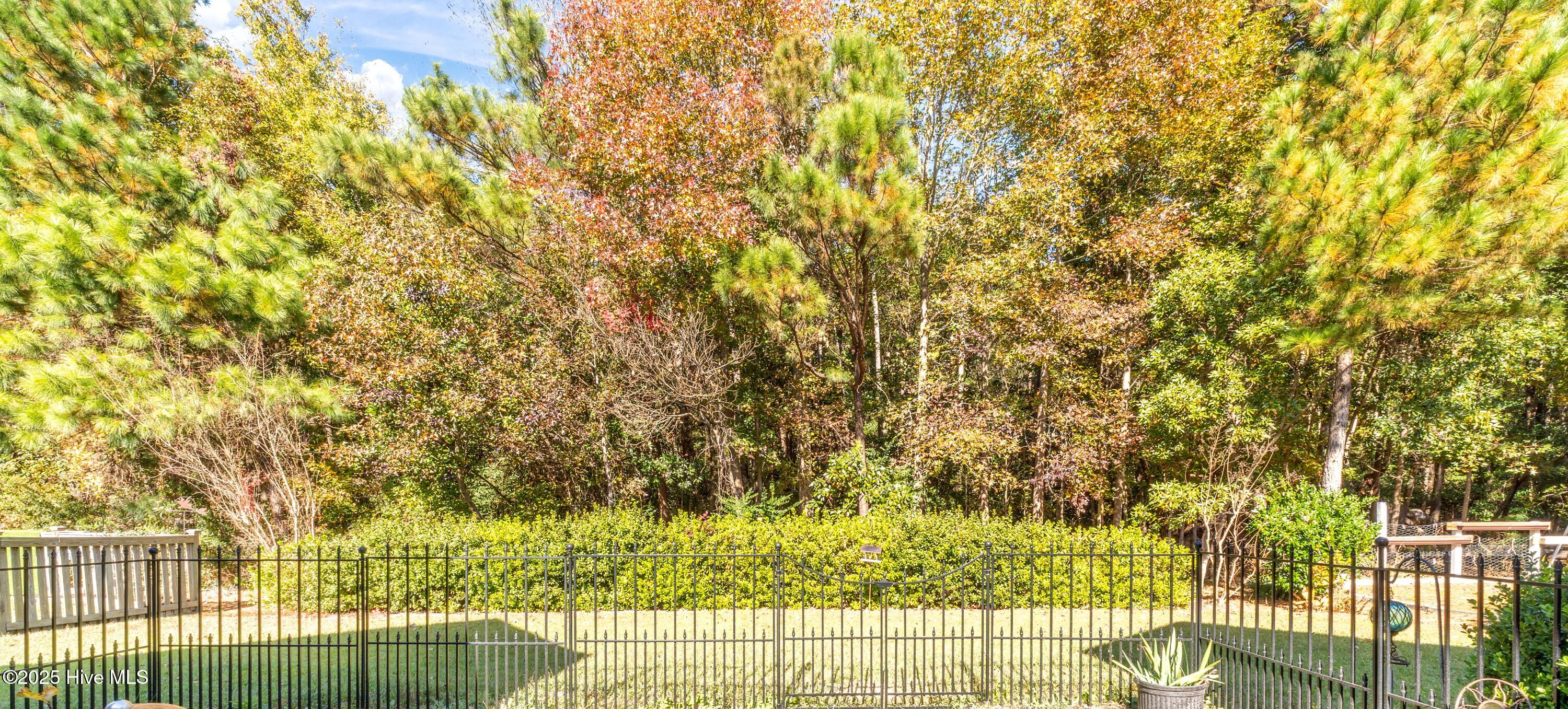 100541484 | Photo 22