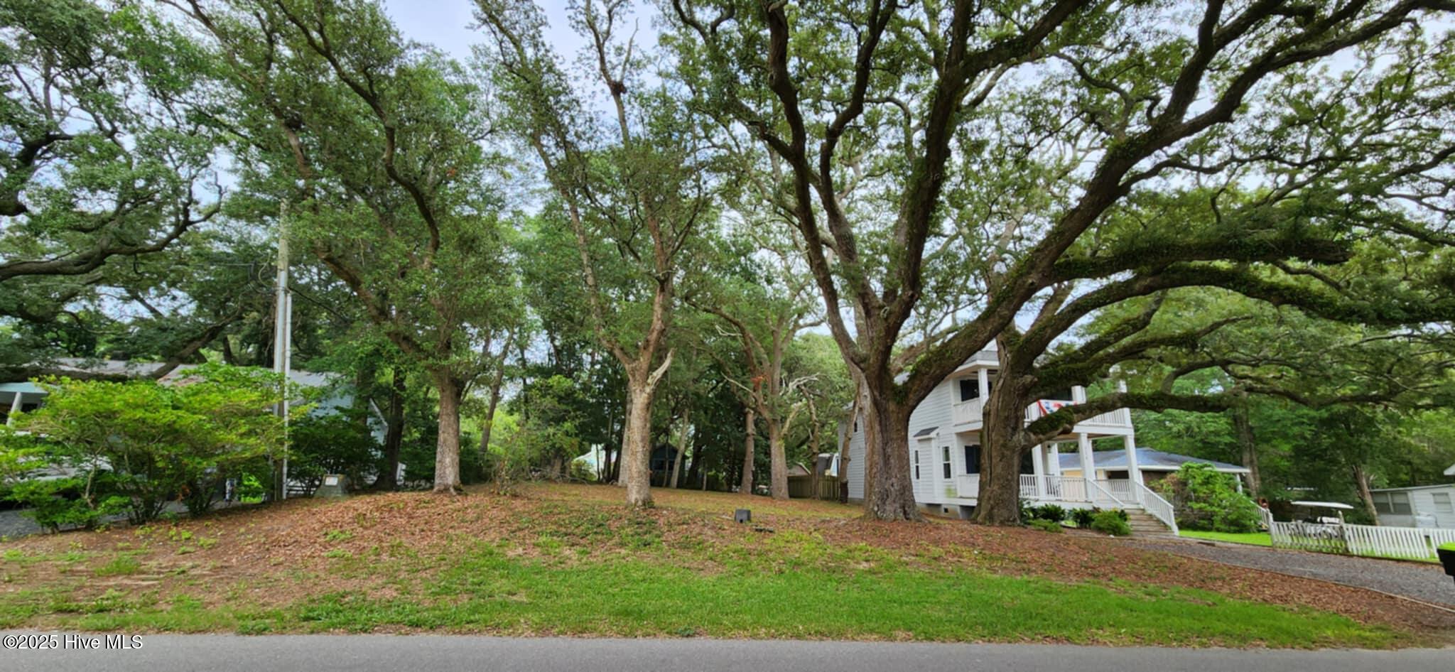 Carolina Barrier Islands