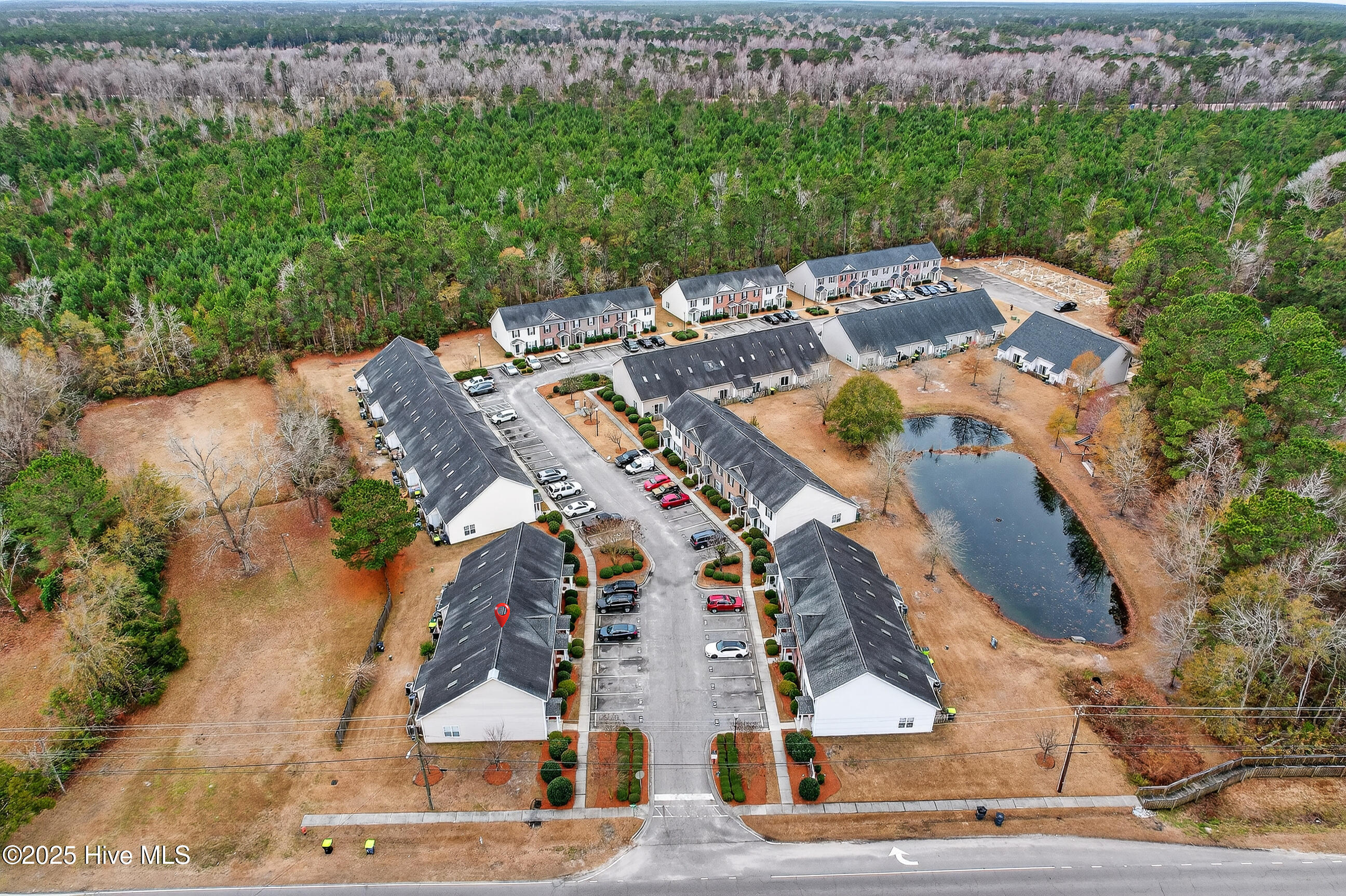 100546231 | Photo 40