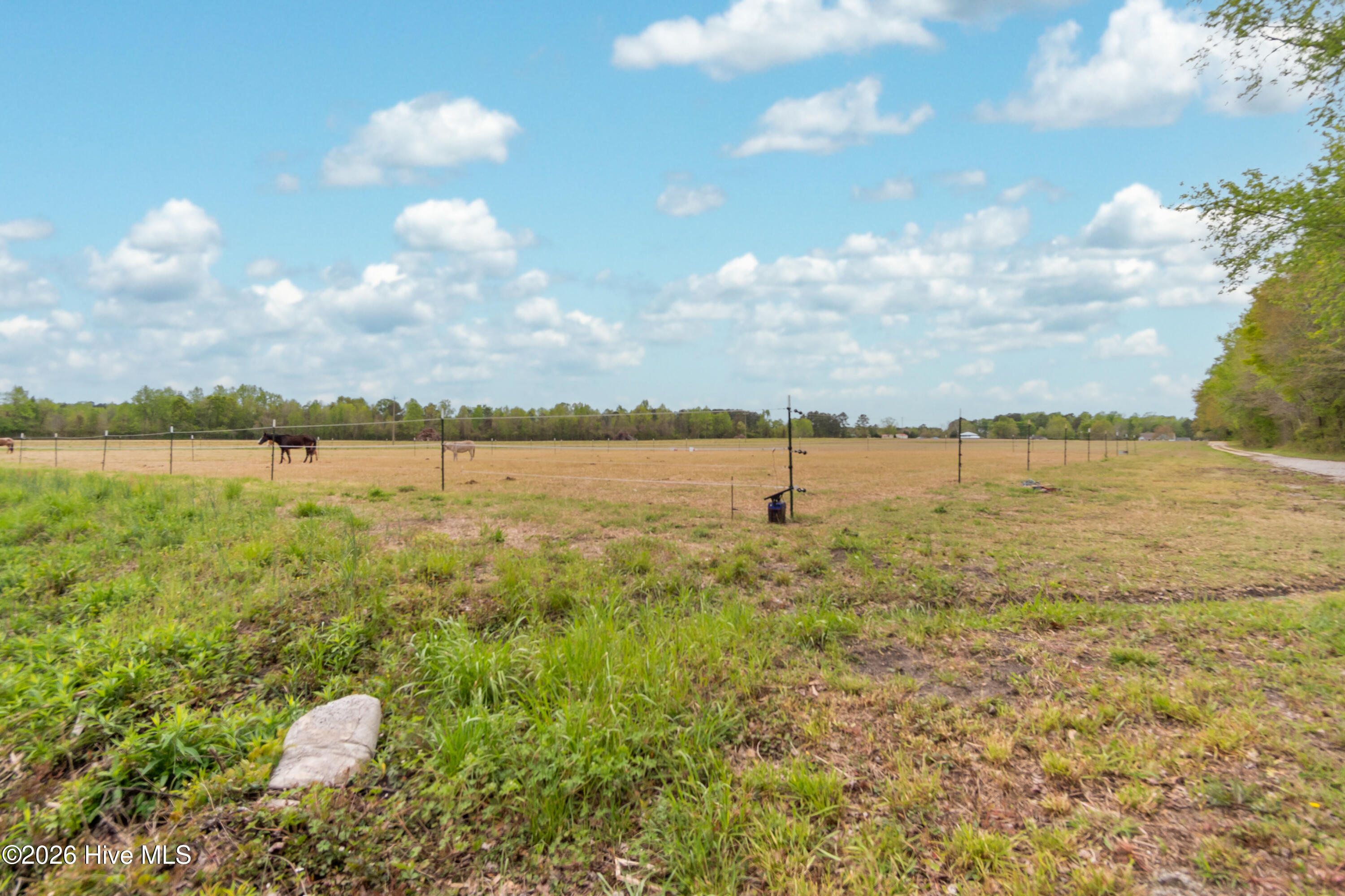 1560 White Oak River Road,Maysville