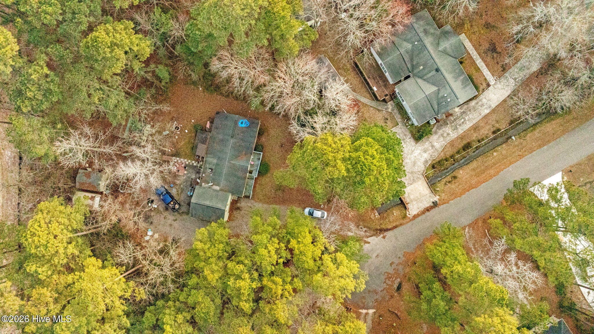 100557144 | Photo 18