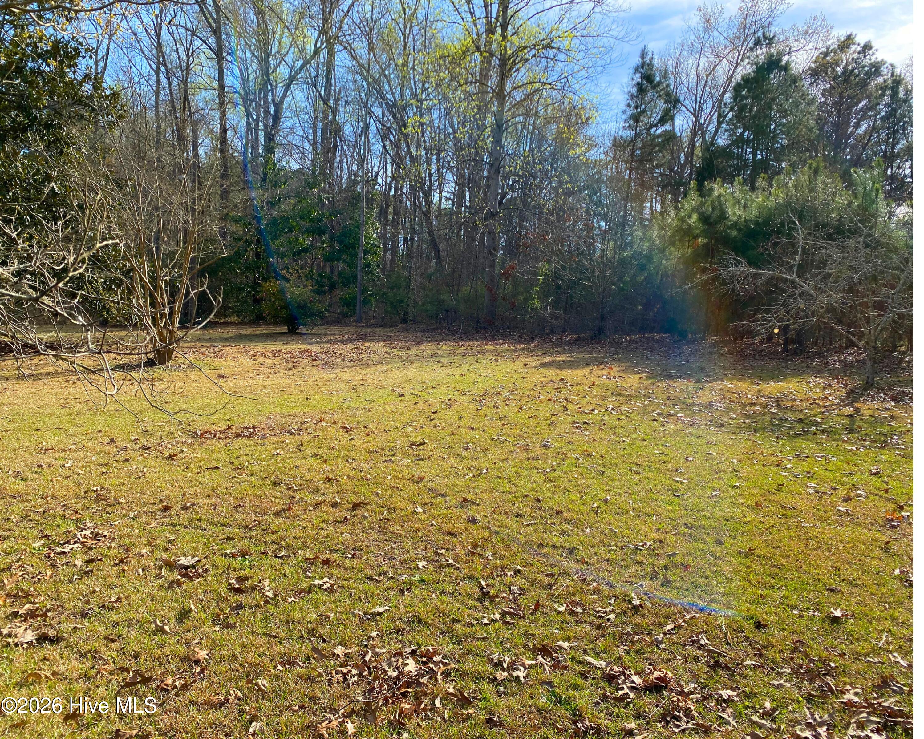 _birchwood back yard 2