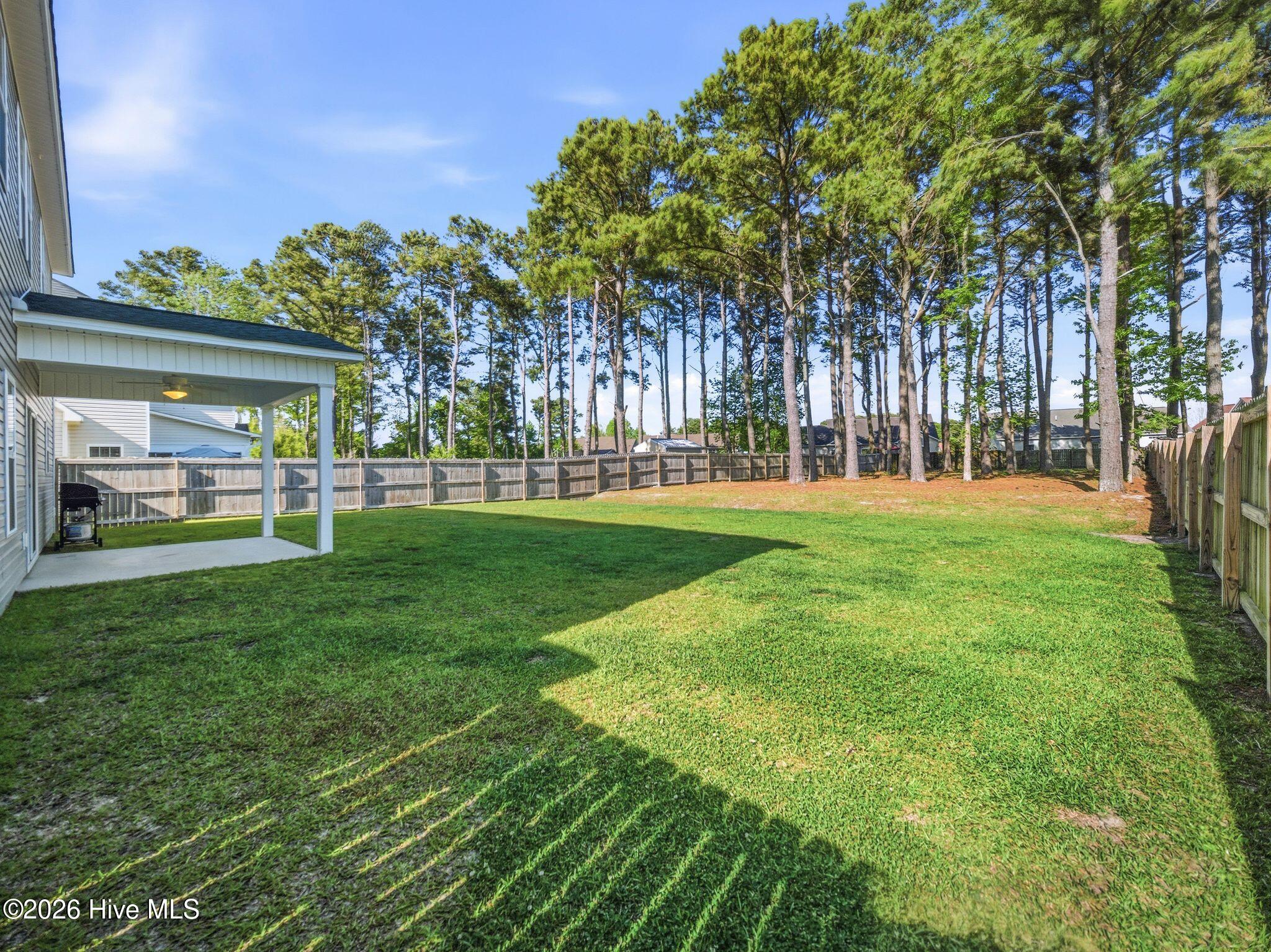 100570227 | Photo 50