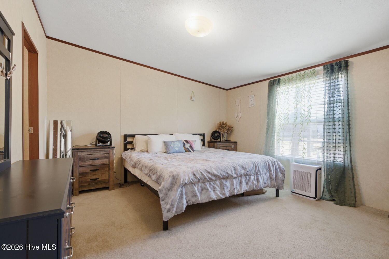 100559177 | Photo 12