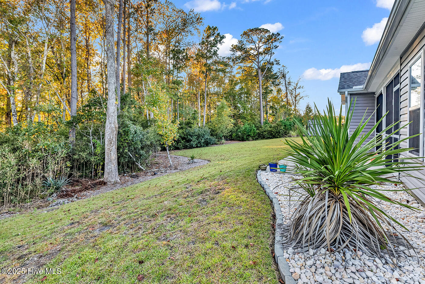 100539654 | Photo 44