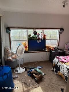 100544296 | Photo 13