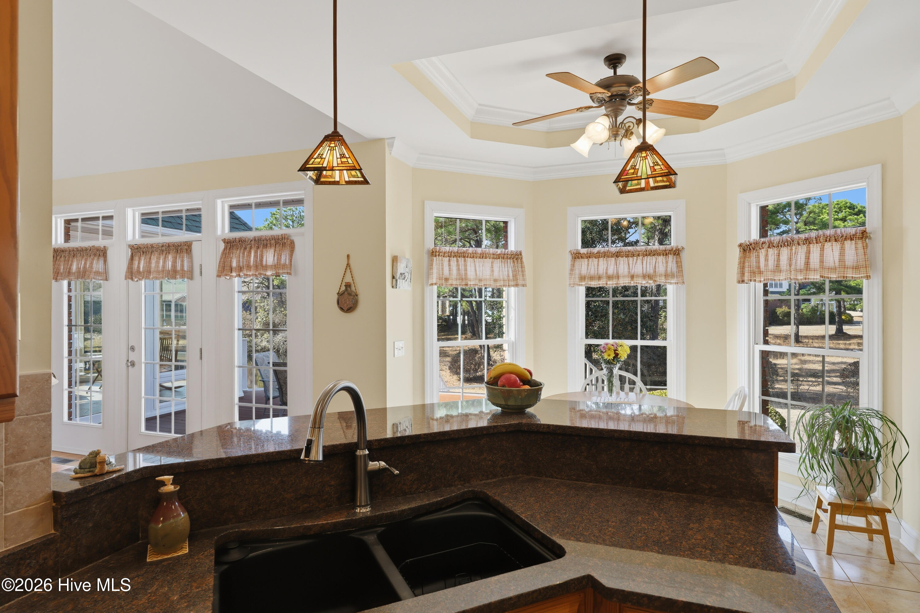 100558139 | Photo 30