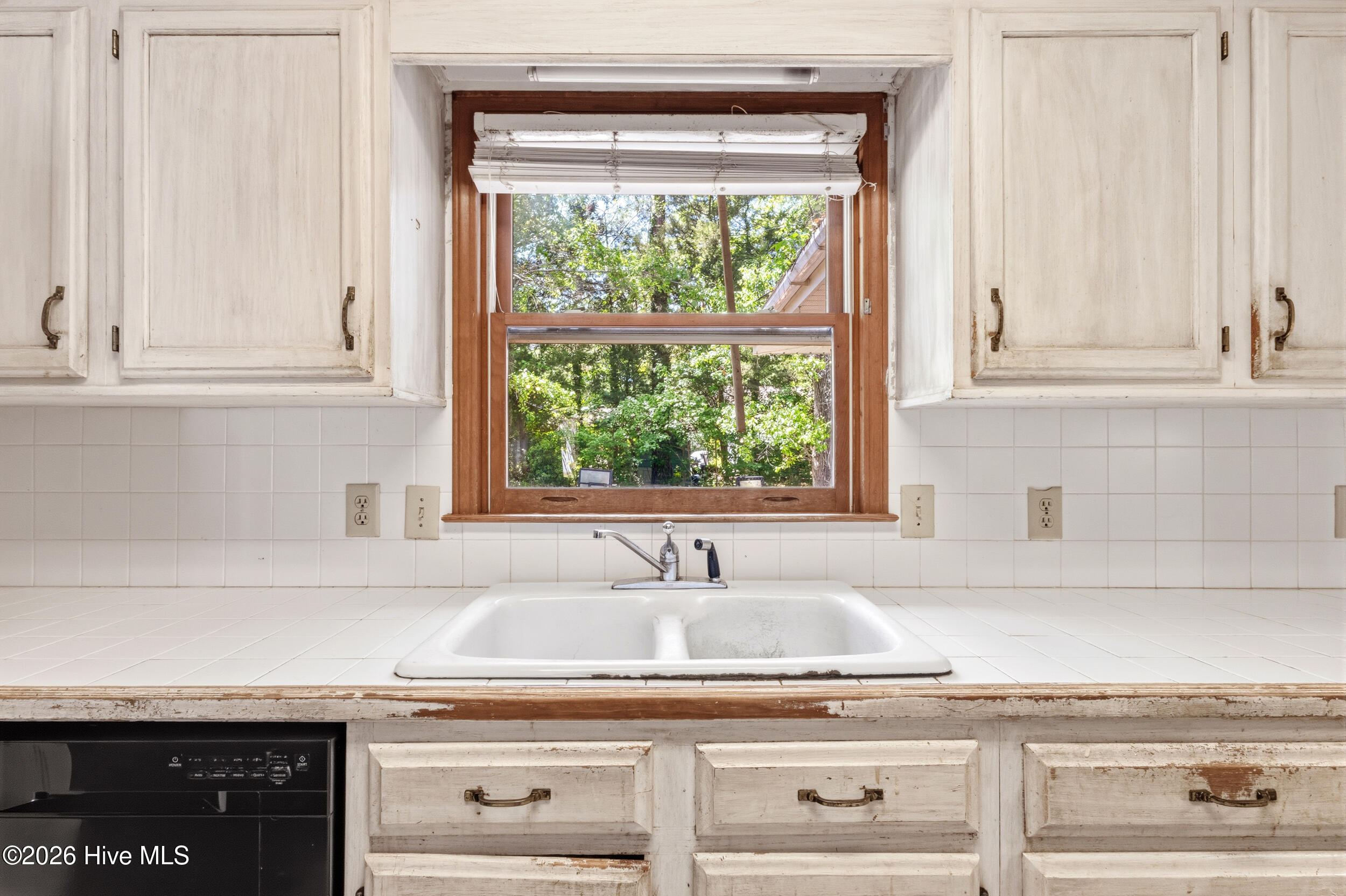 100568035 | Photo 13