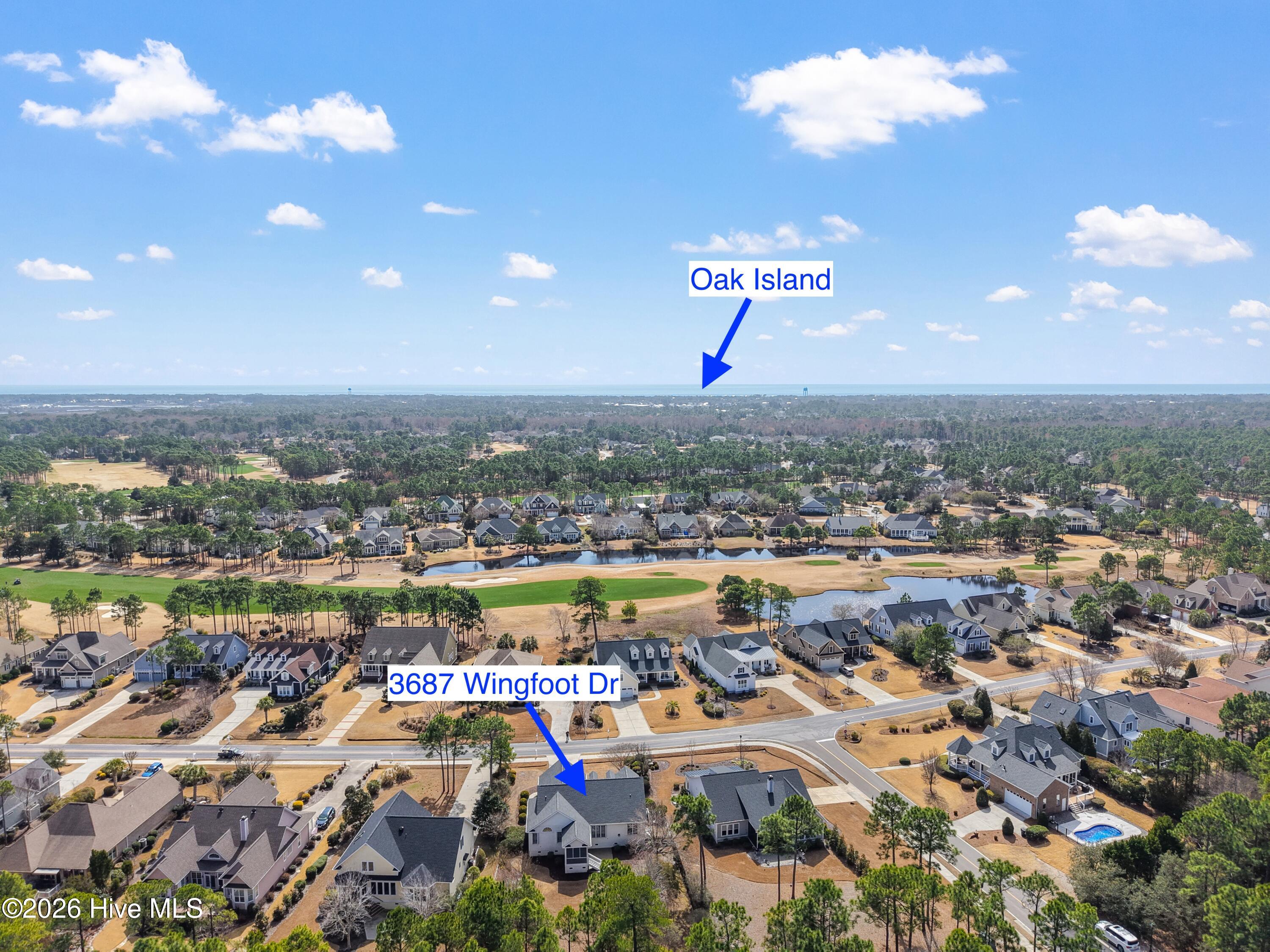 100561383 | Photo 49