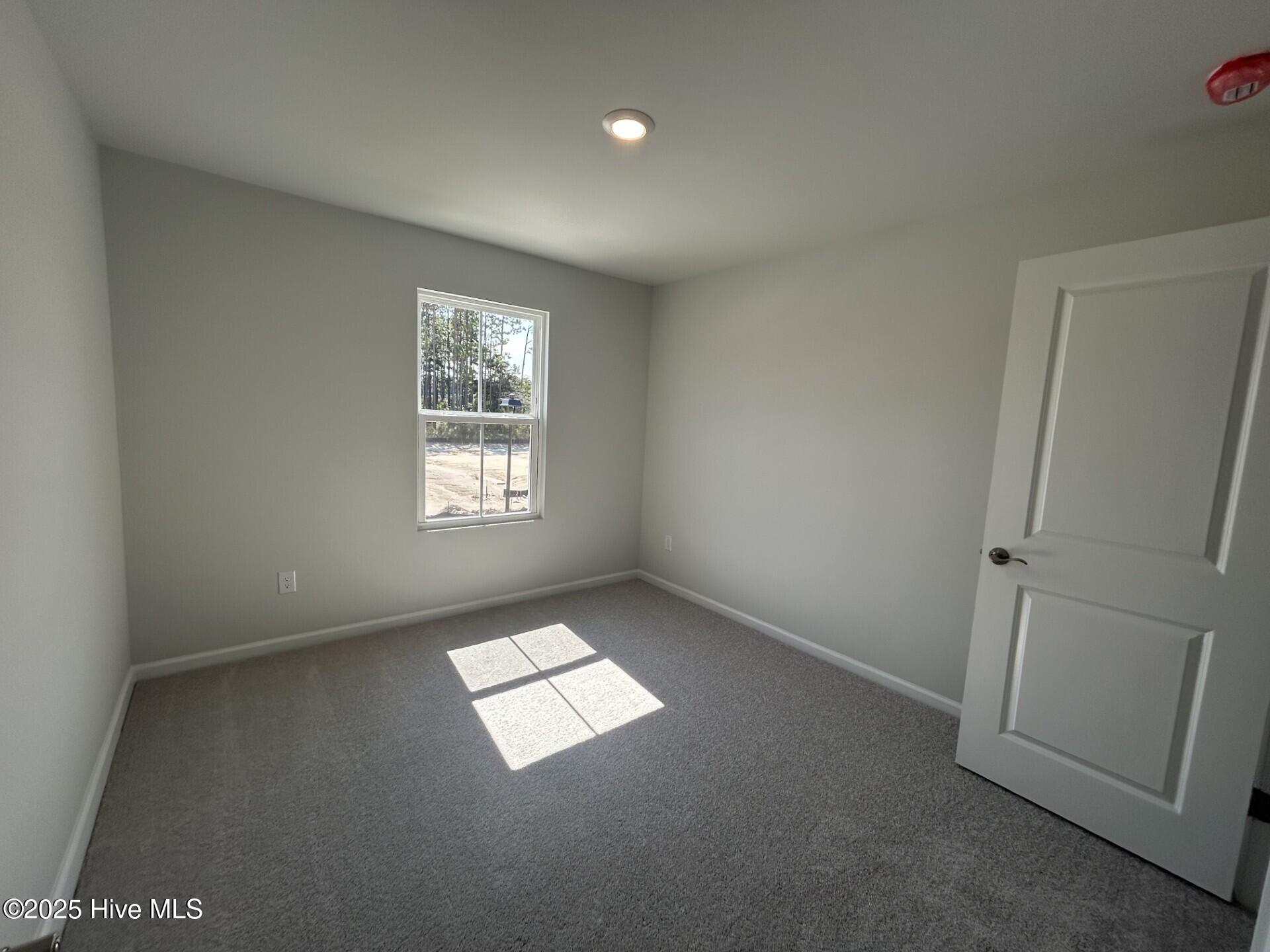 100525039 | Photo 19