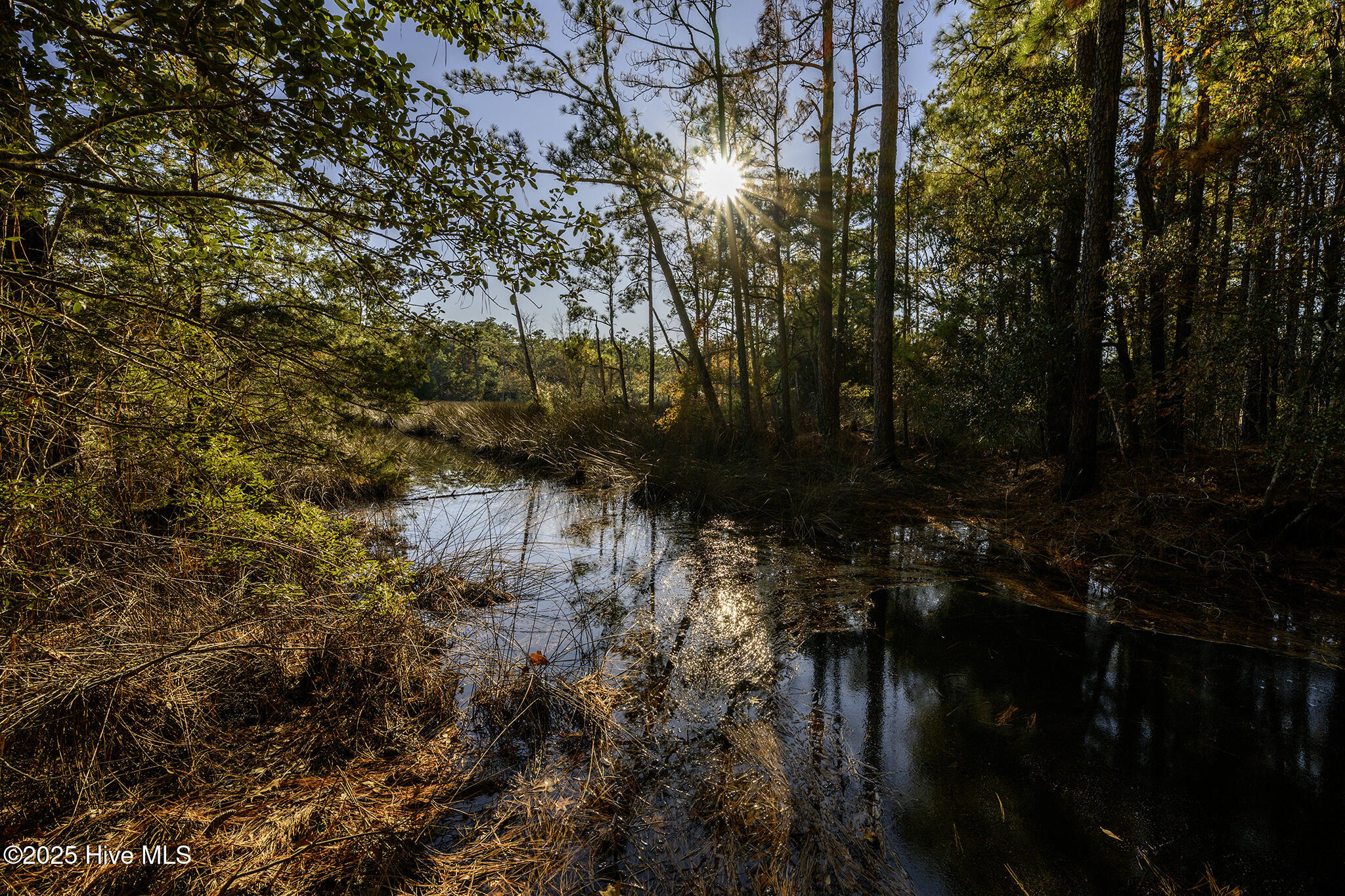 Homes for sale in Merritt, NC | 107 Bayview Dr, Merritt, NC 28556 | MLS# 100546384