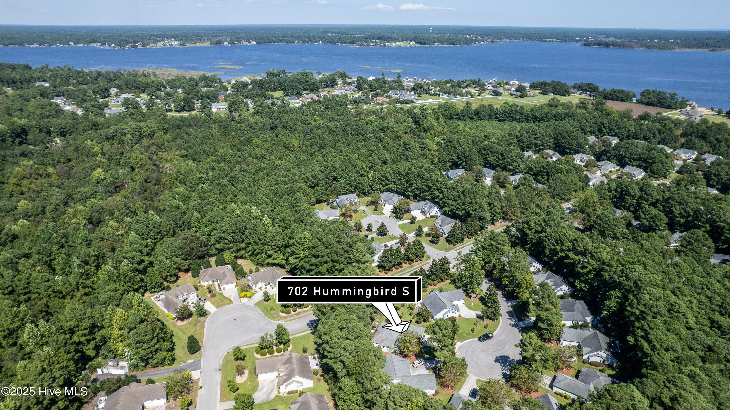 702 Hummingbird 
