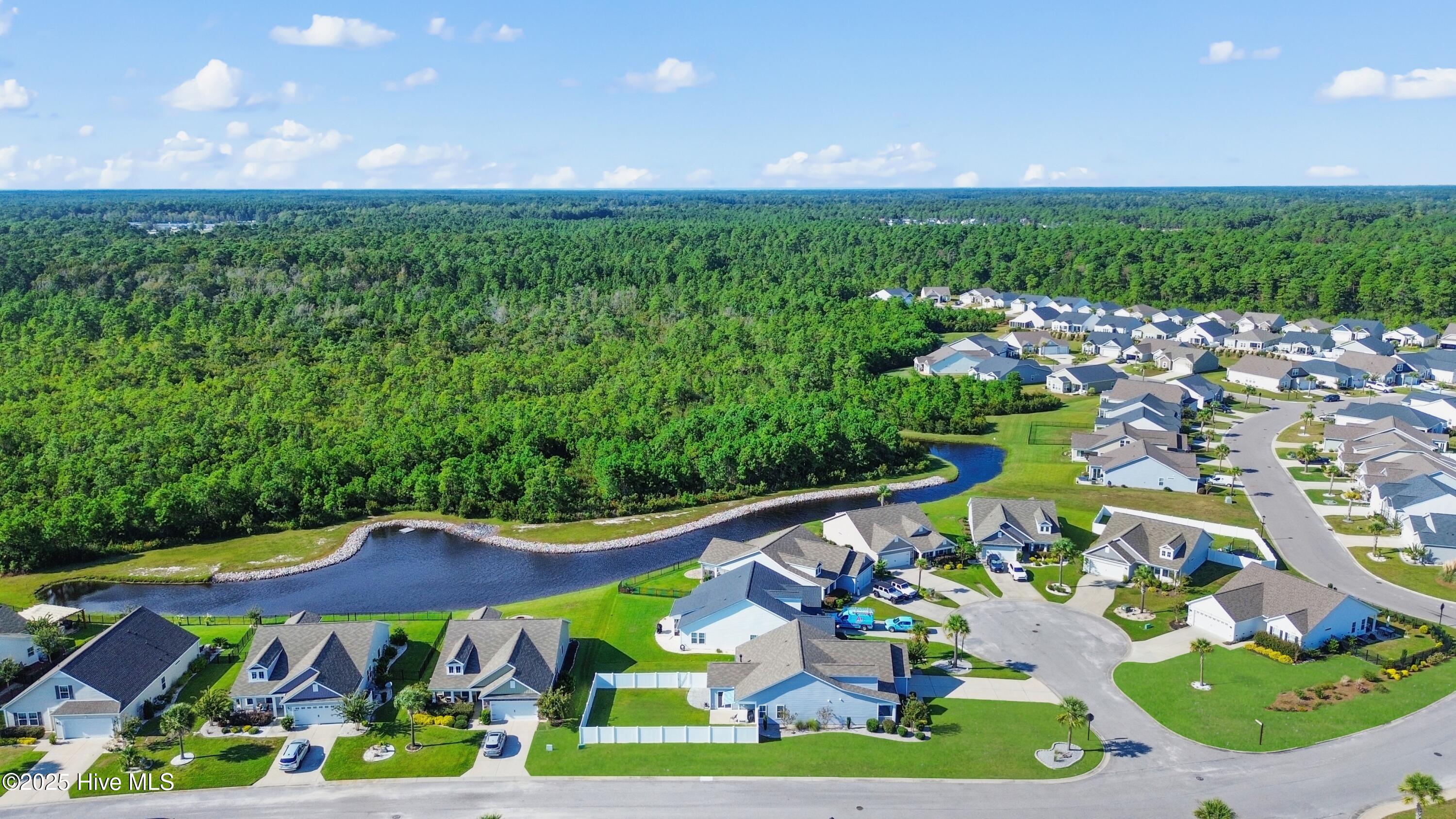 100535031 | Photo 43