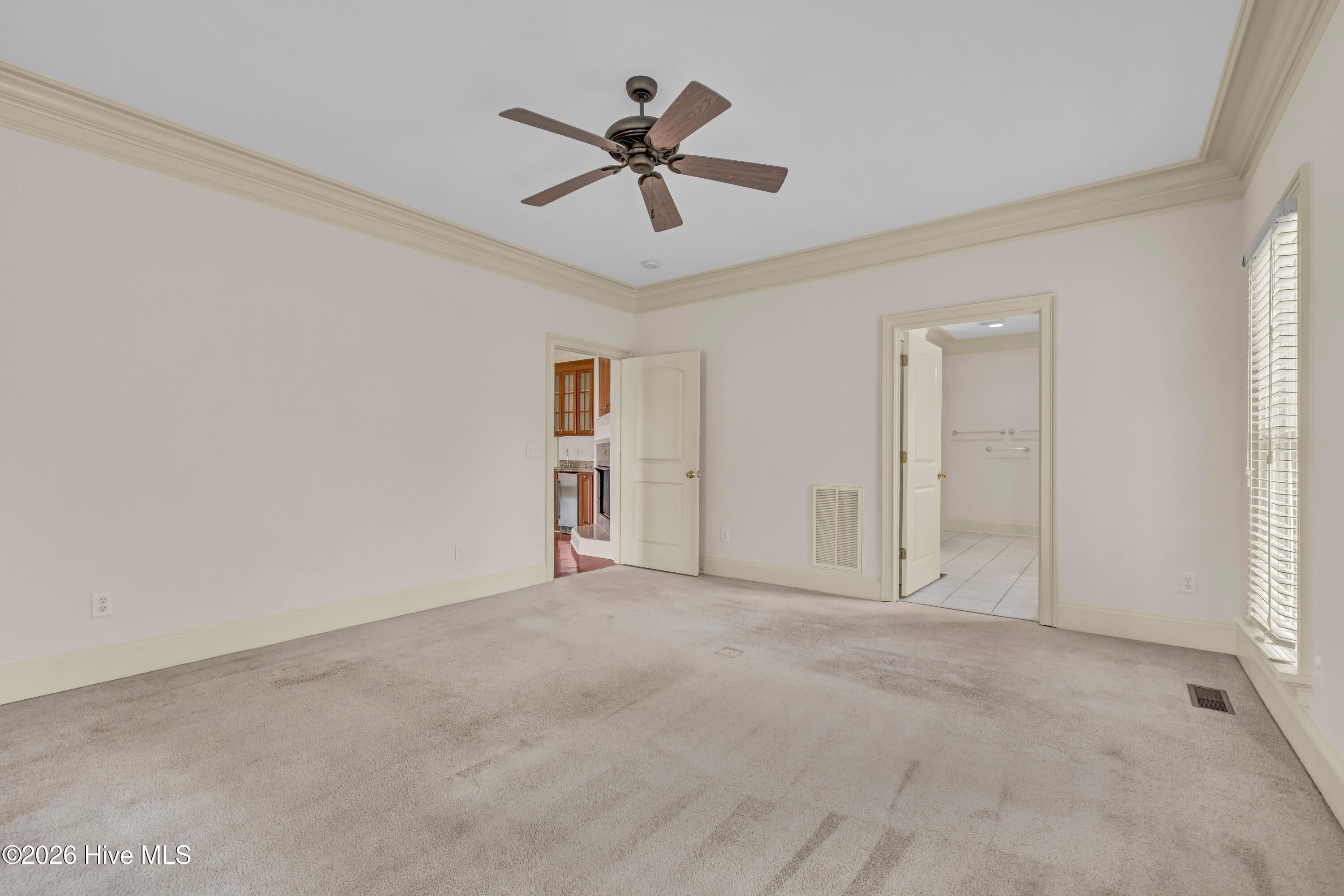 100556623 | Photo 23