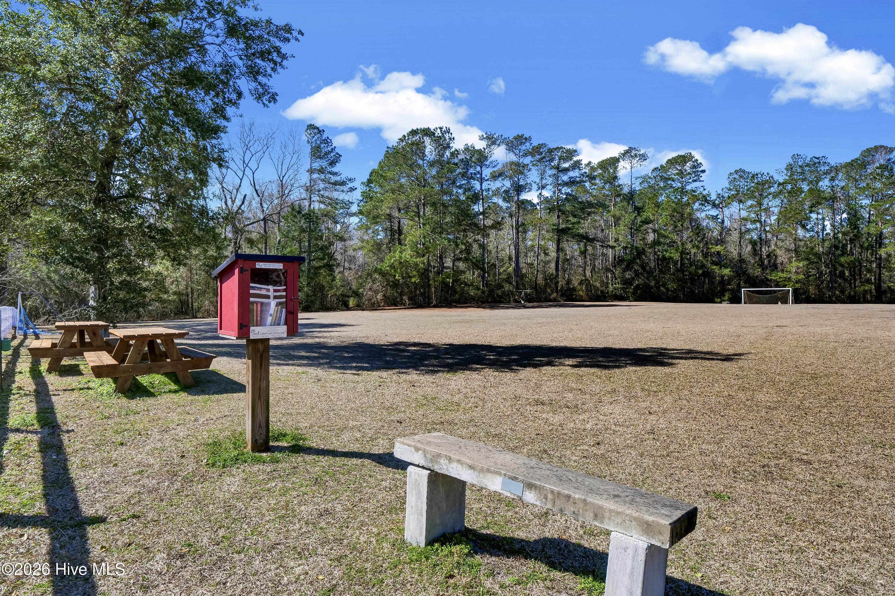 100548252 | Photo 38