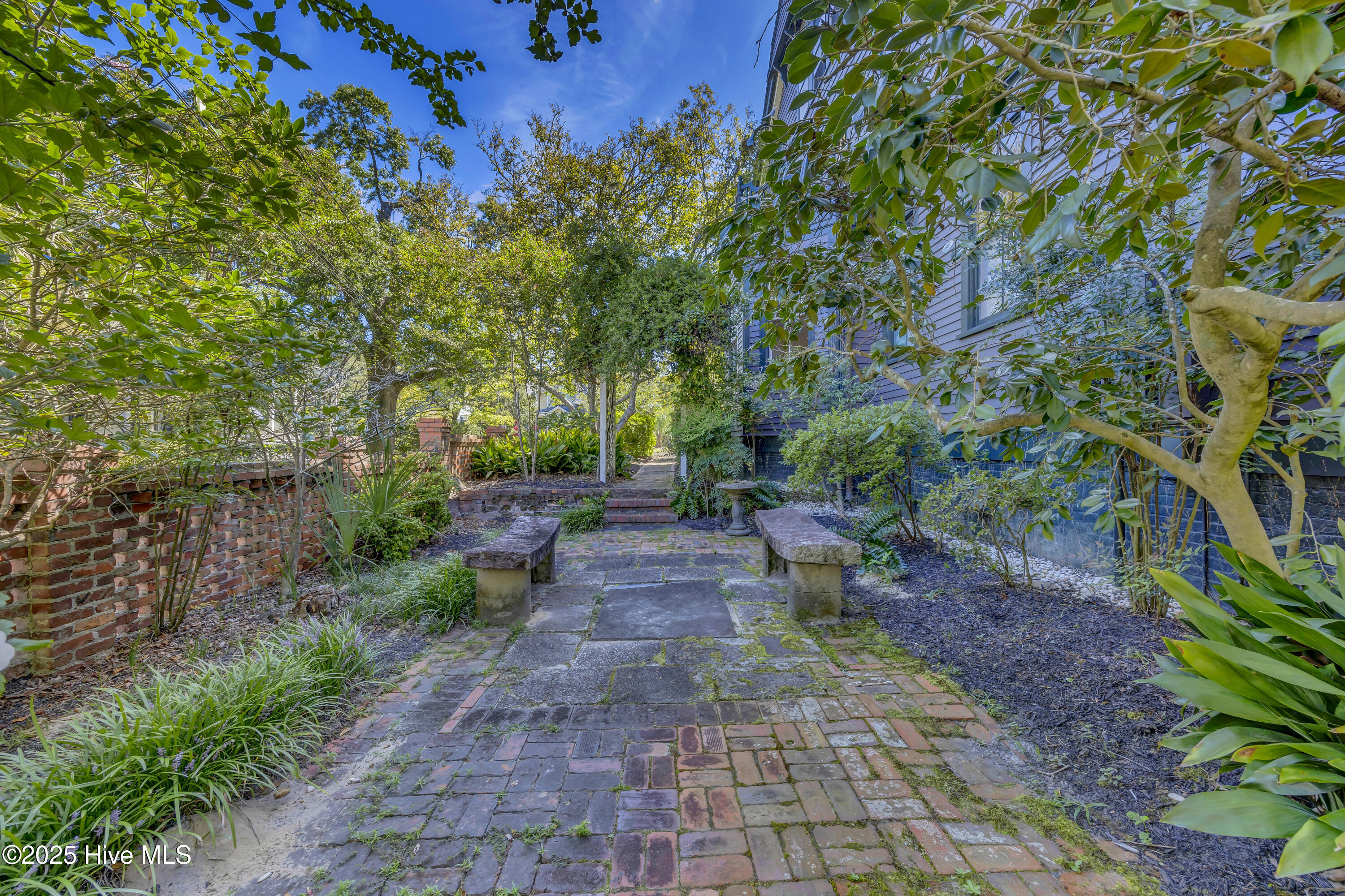 100531390 | Photo 50