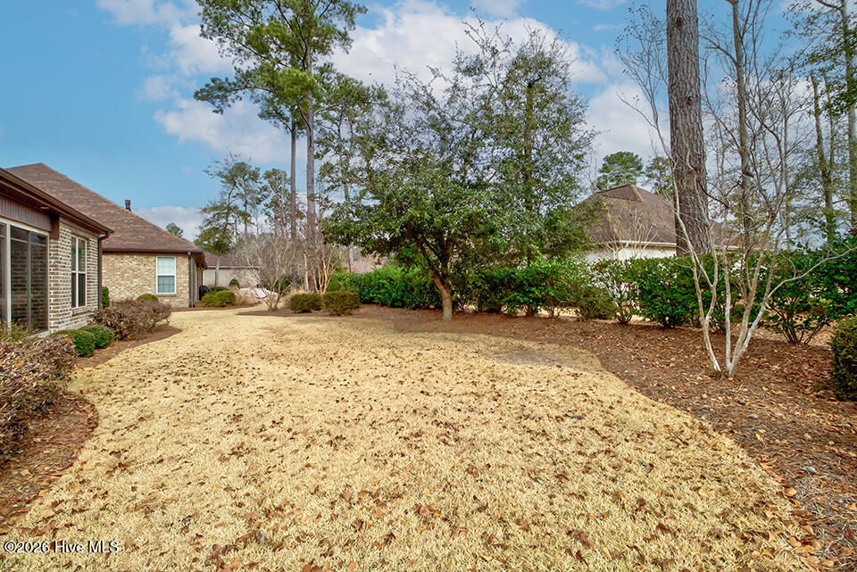 100548216 | Photo 44