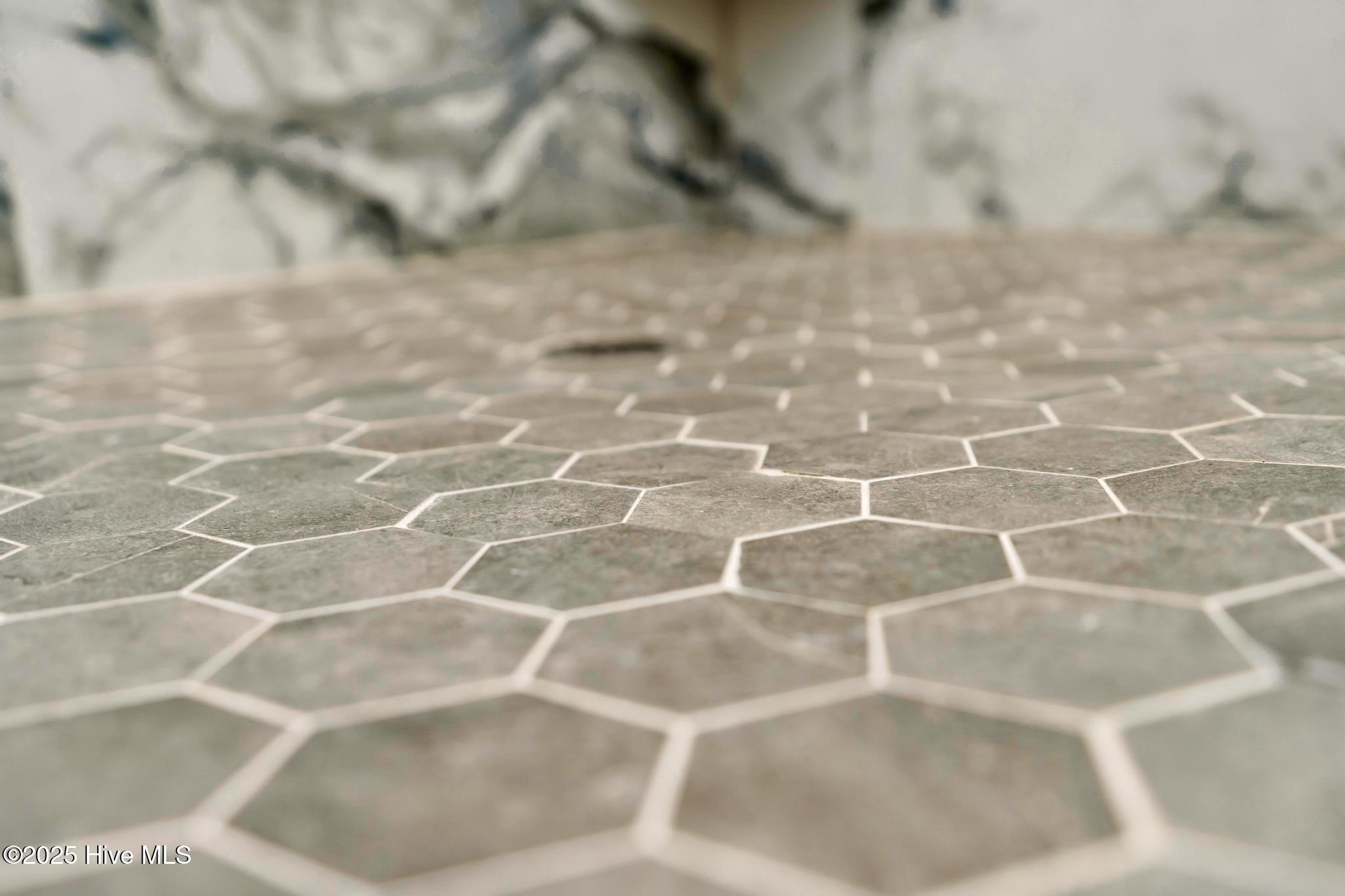 100527490 | Photo 26