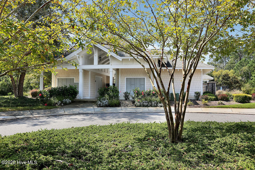 100554585 | Photo 48