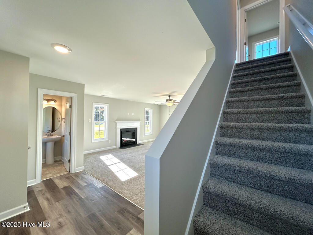 100538382 | Photo 31