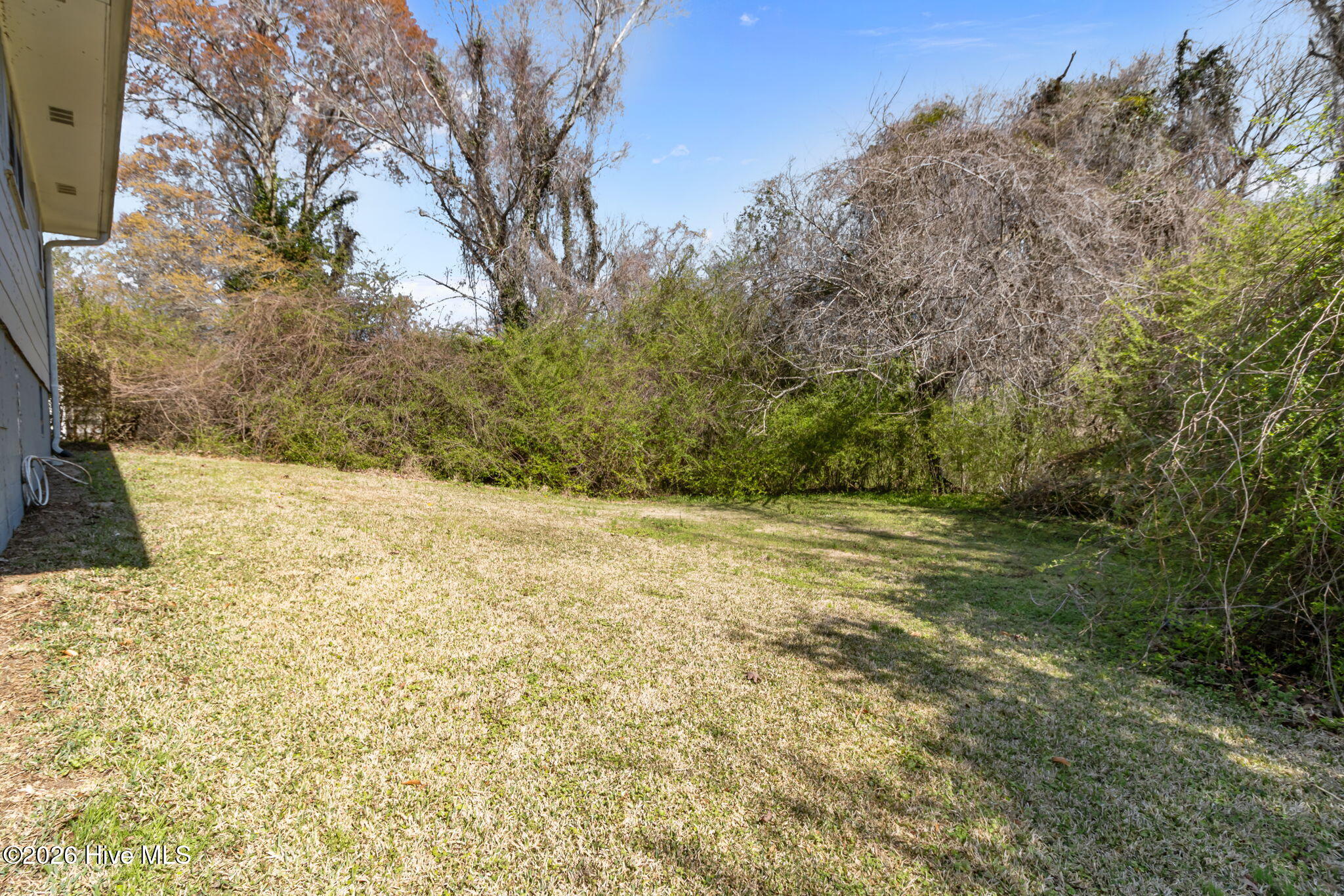 100561525 | Photo 45