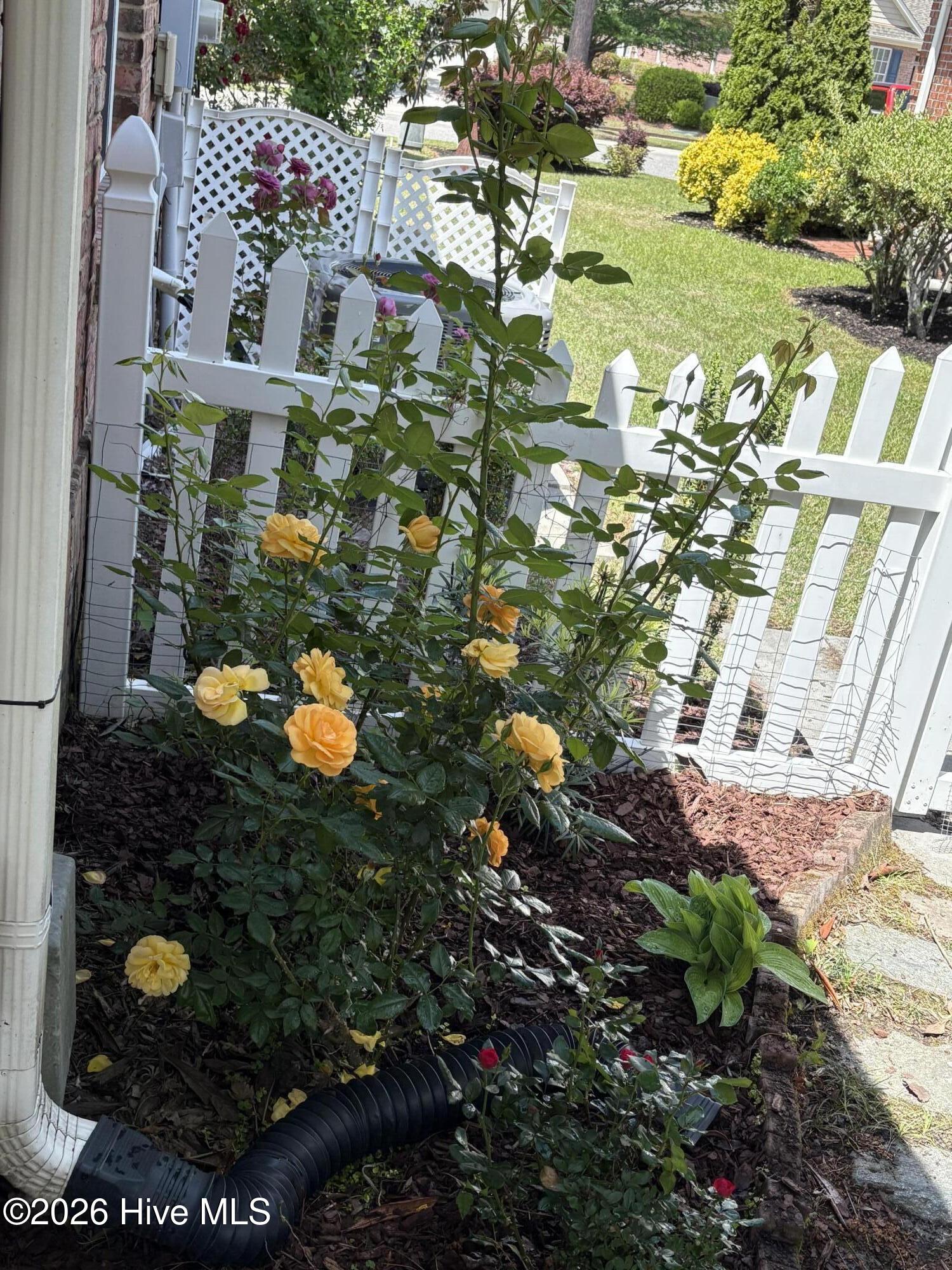 100553841 | Photo 59