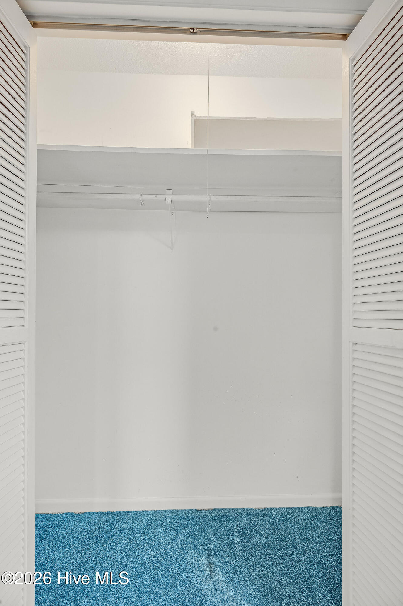 100556602 | Photo 50