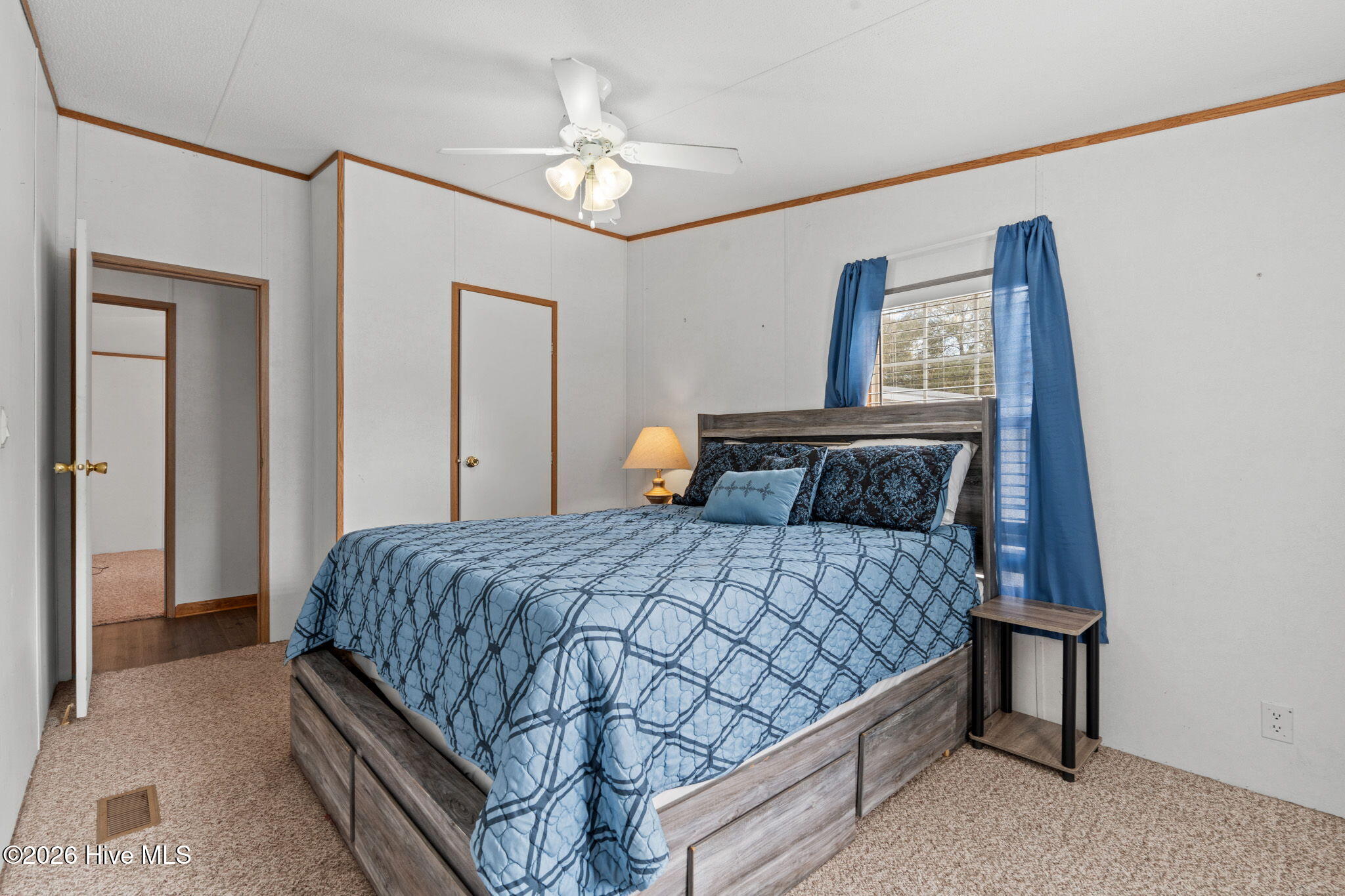 100564701 | Photo 25