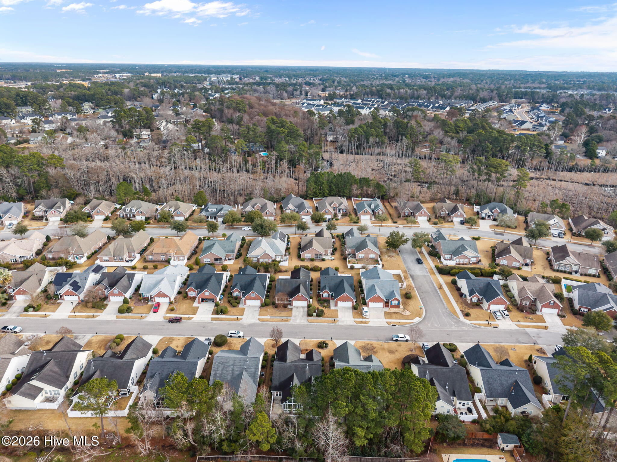 100549598 | Photo 51