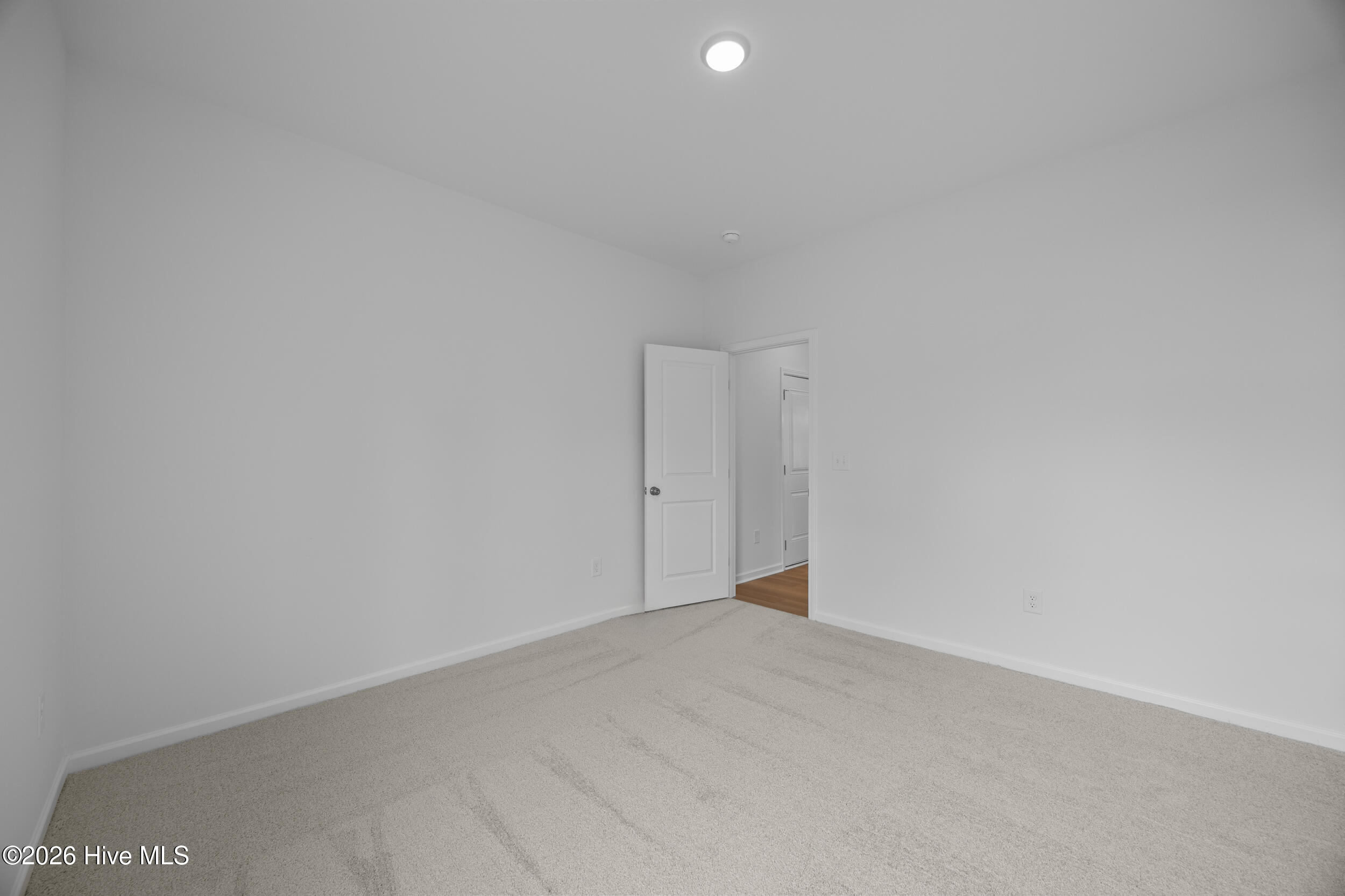 100553228 | Photo 16