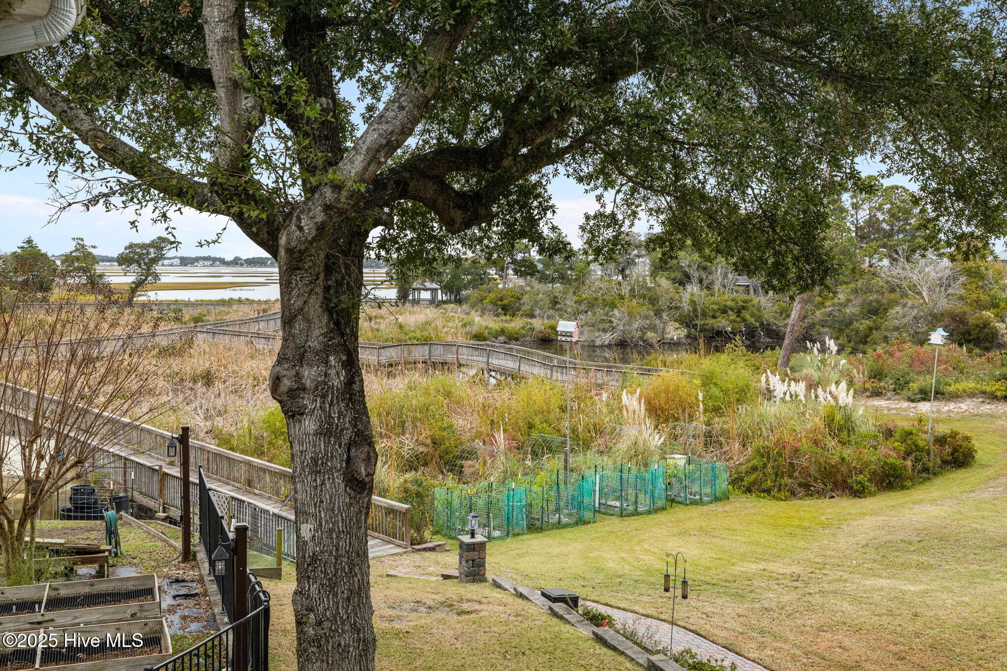 100558130 | Photo 37