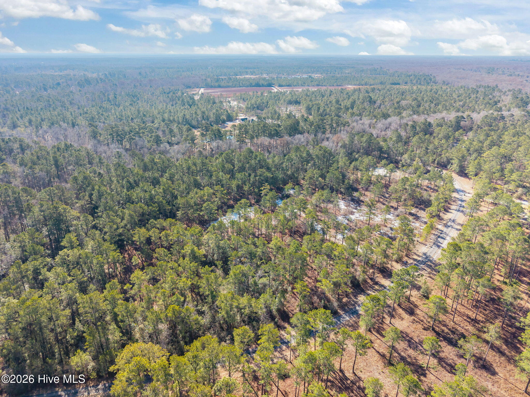 100554488 | Photo 11