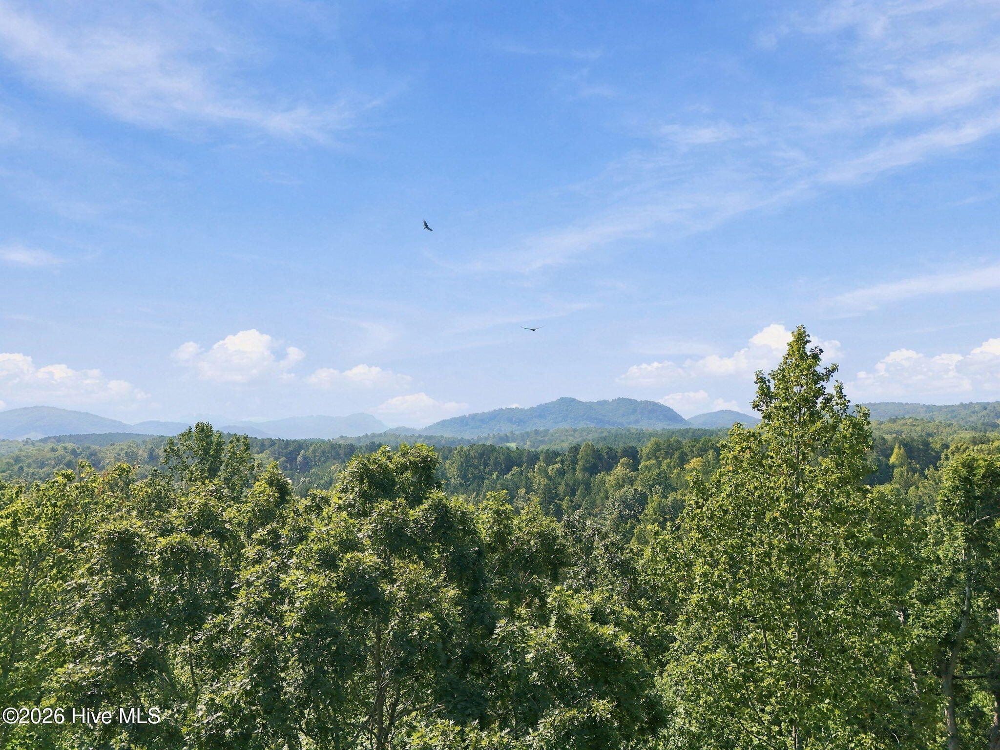 100605028 | Photo 3