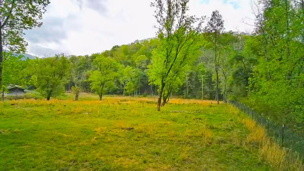 3325 Pack Mountain Road, Murphy, NC 28906 Listing Photo  51