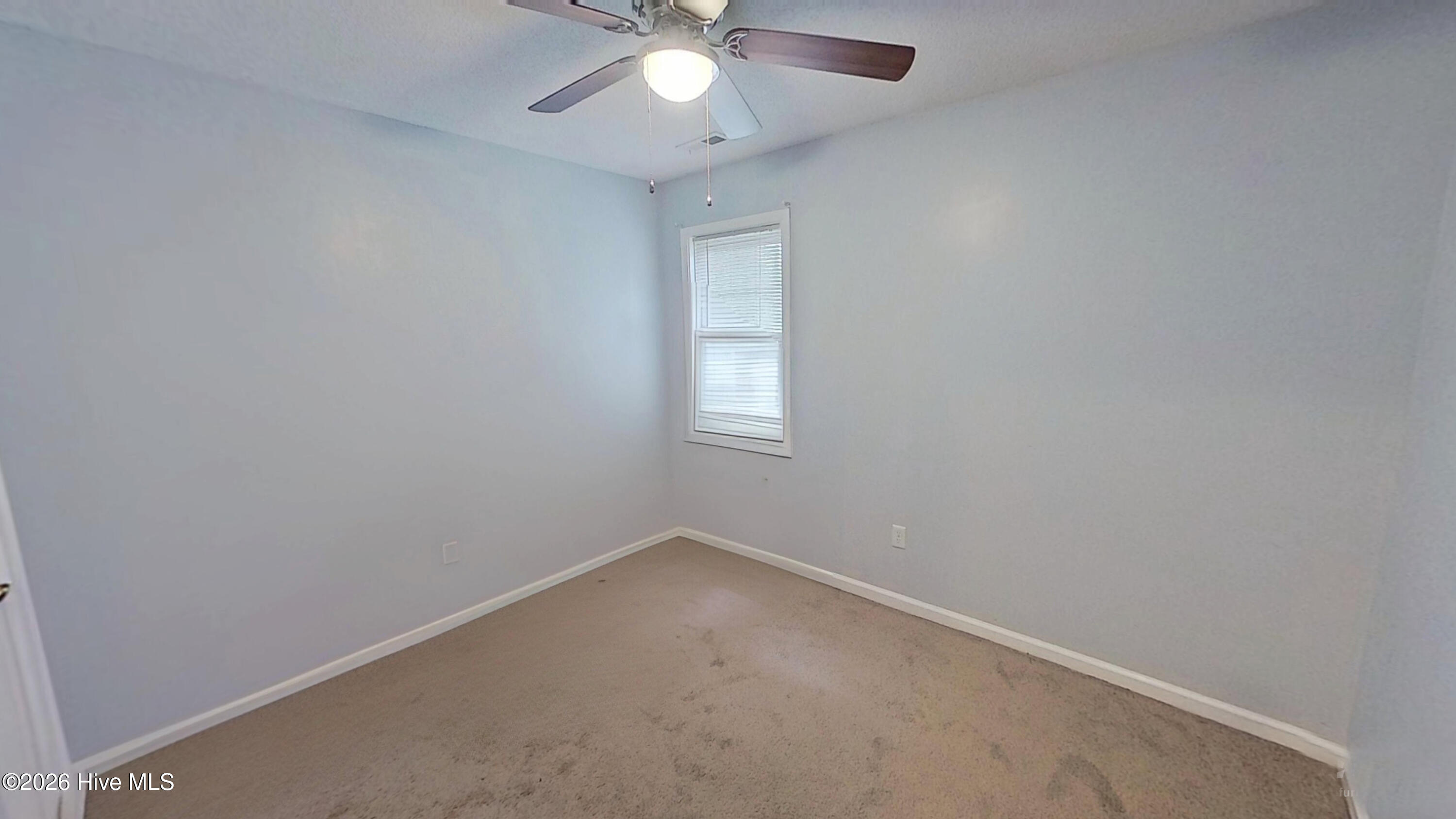 100558513 | Photo 14