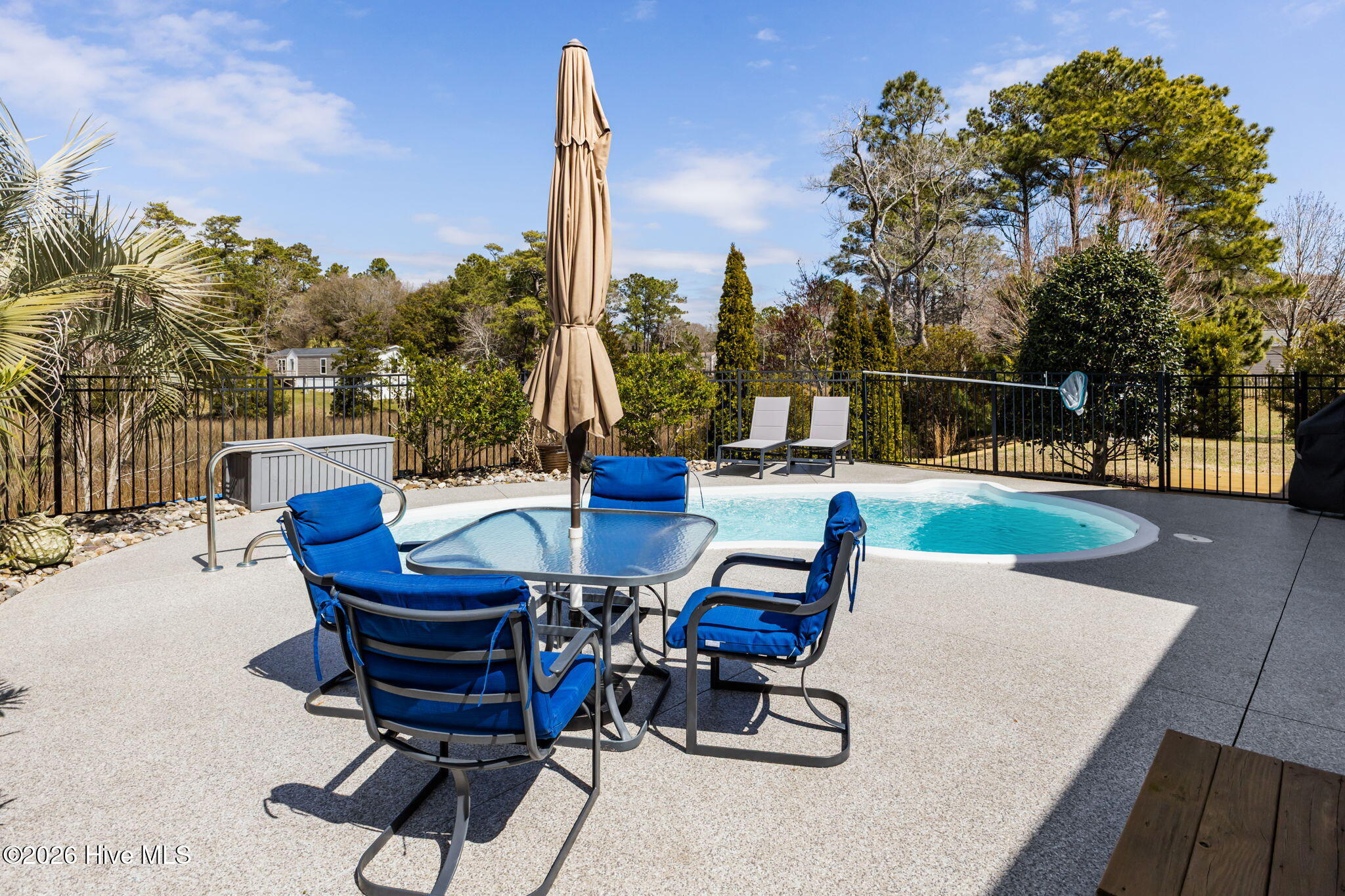 100560213 | Photo 36