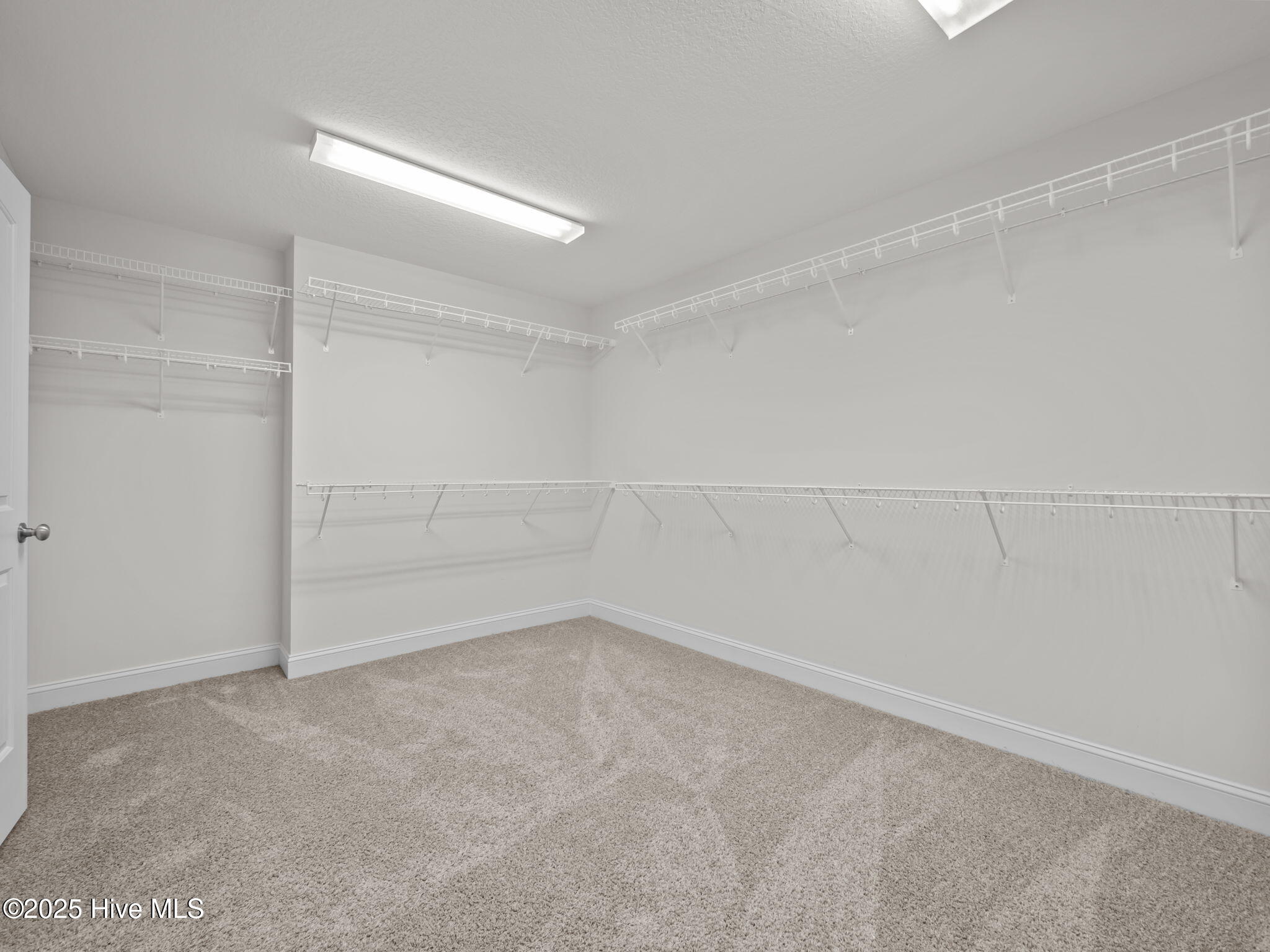 100536873 | Photo 37